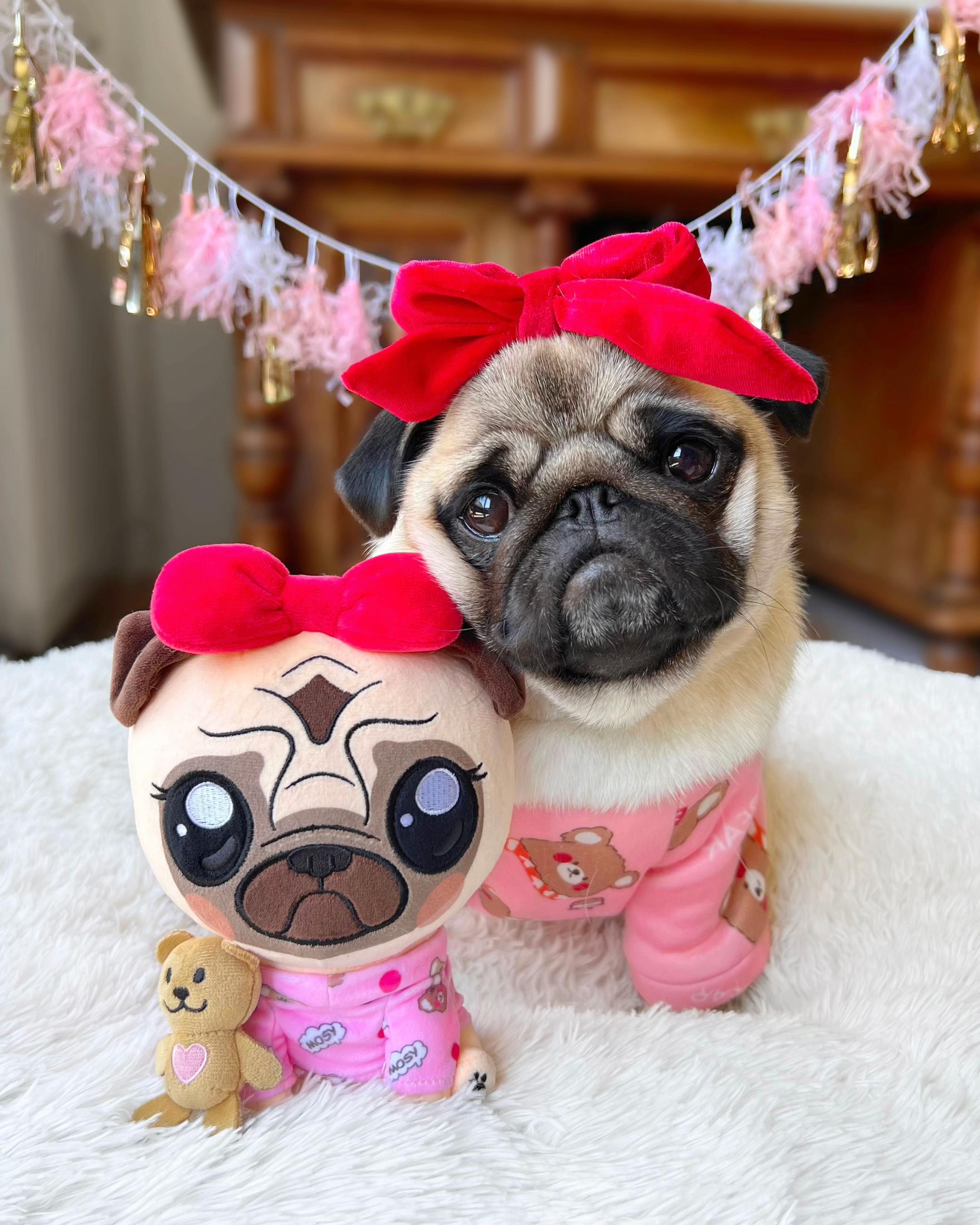 @Loulou the Pug