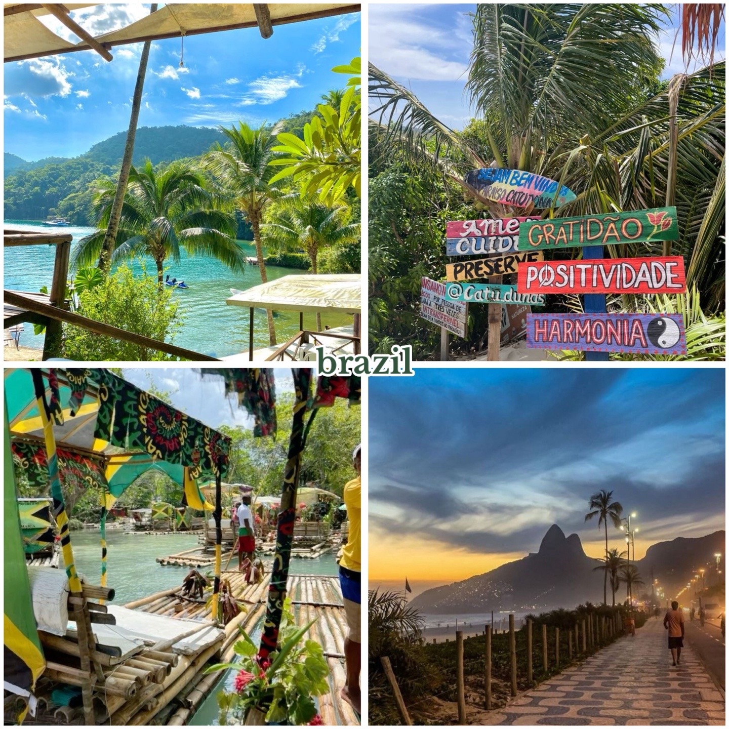 @lavender 🥐