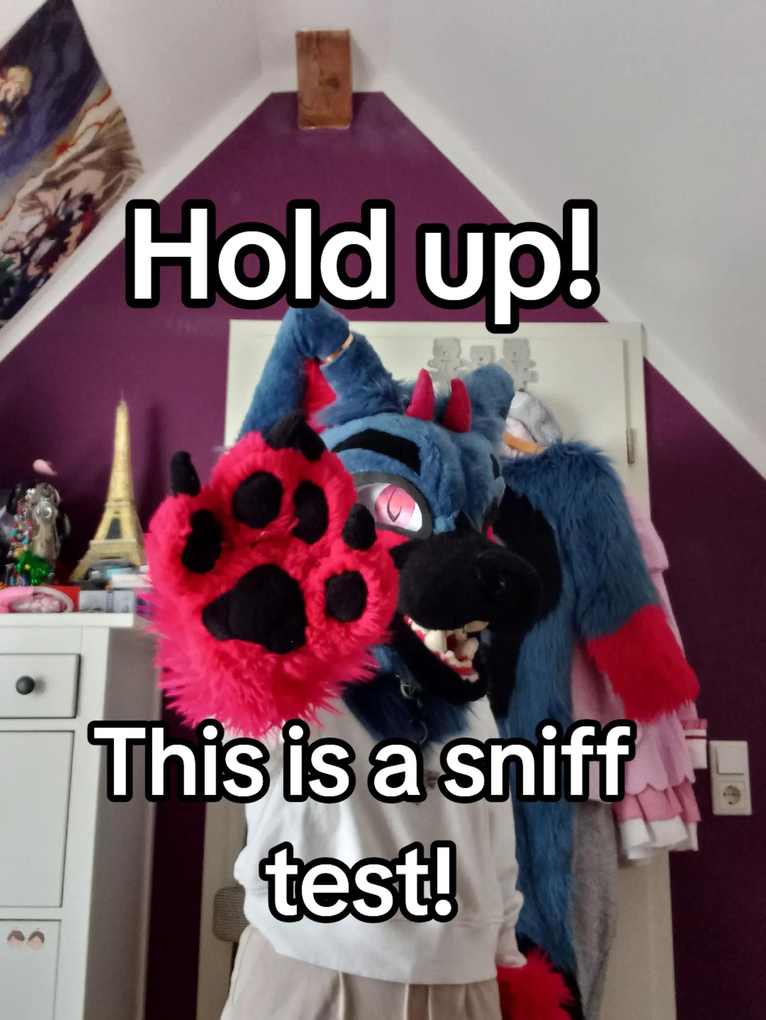 @Wolfine
