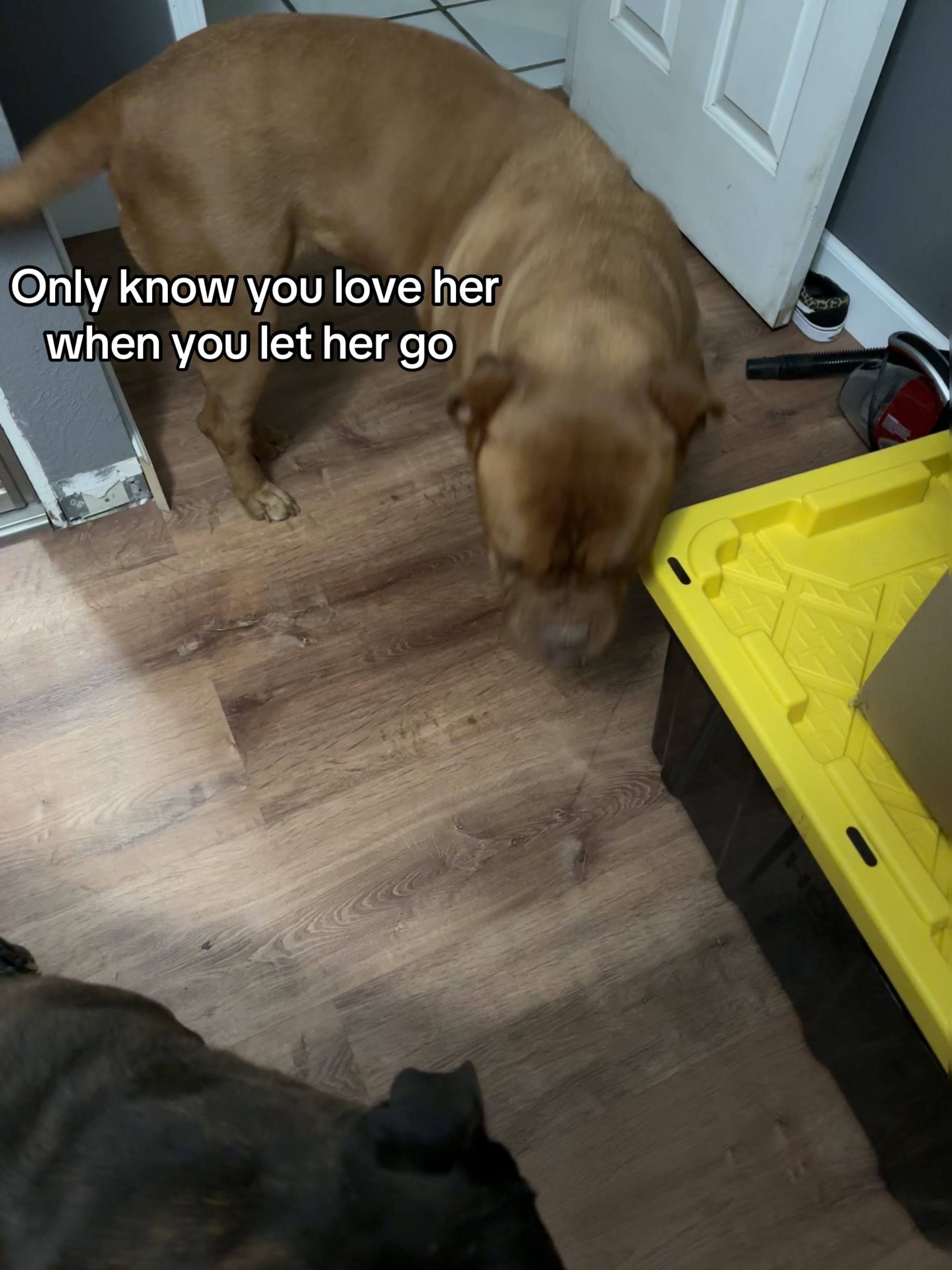 @unknown.ray.10