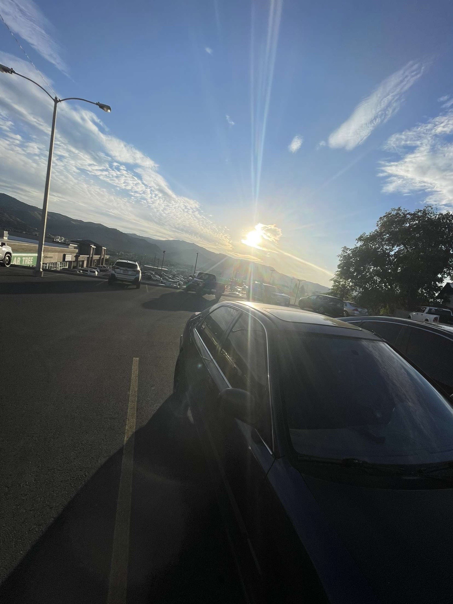 @steezy.eg