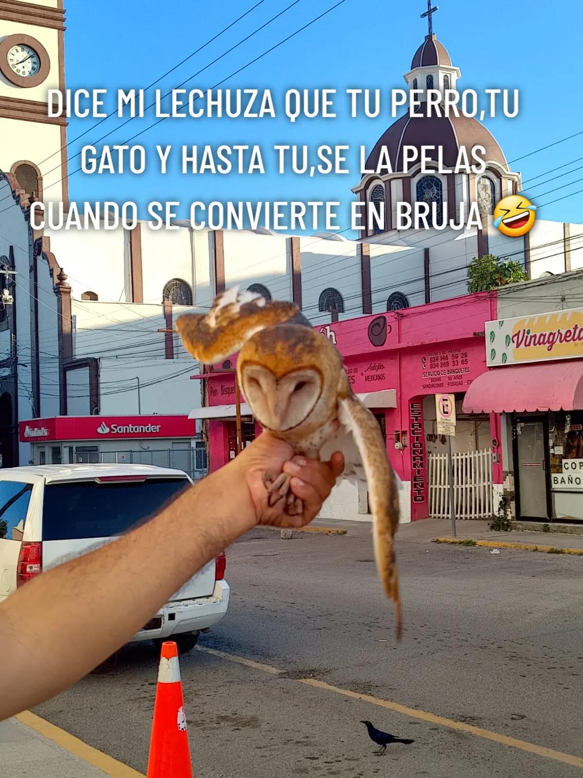 @POLINEGROTAM