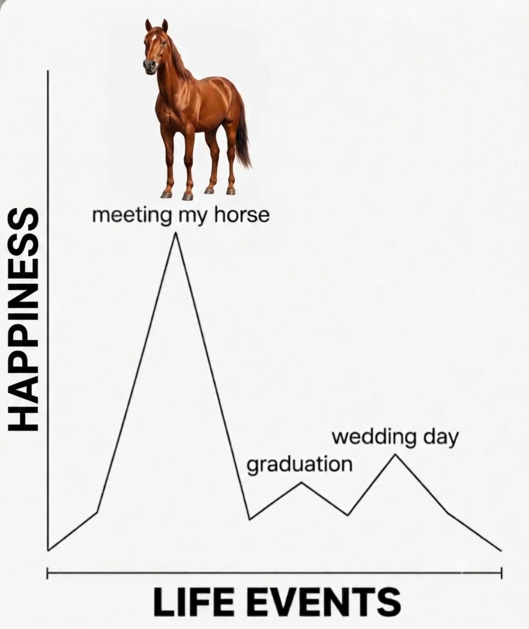 @streamhorse