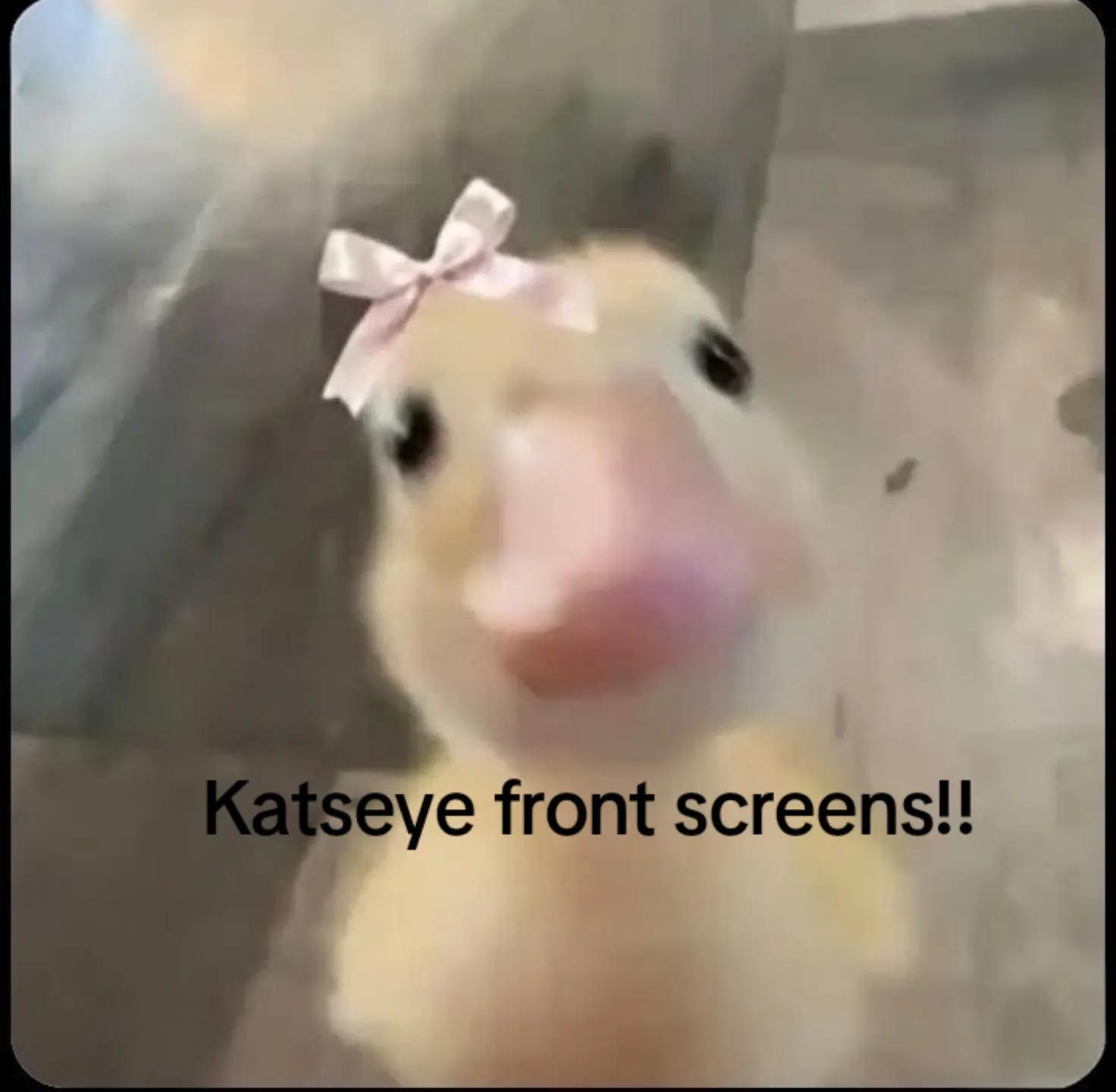 @๐ช๐ ๐ฆ๐ฃ๐๐ฆ๐ฃ๐๐ช๐๐๐ฃ๐แจฎื๐