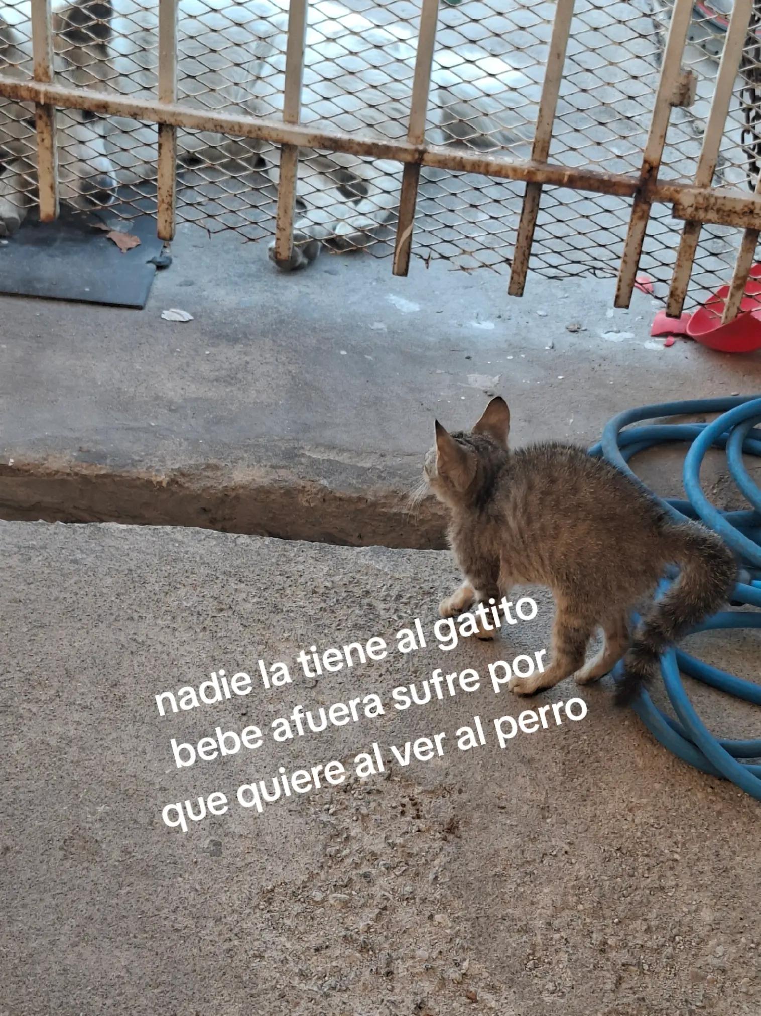 @Isabel Hernández