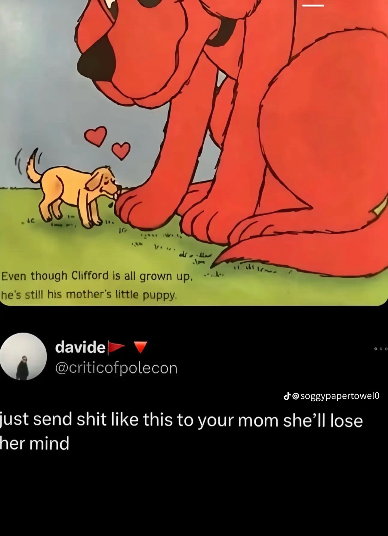 @average human
