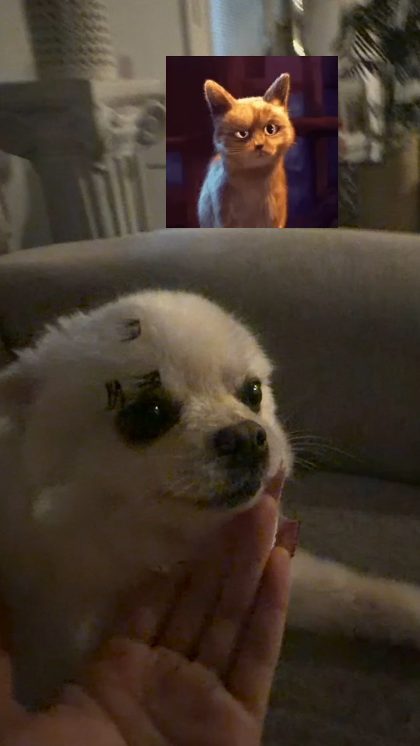 @ℐ𝓈𝒶𝒷ℯ𝓁𝓁𝒶 𝜗𝜚