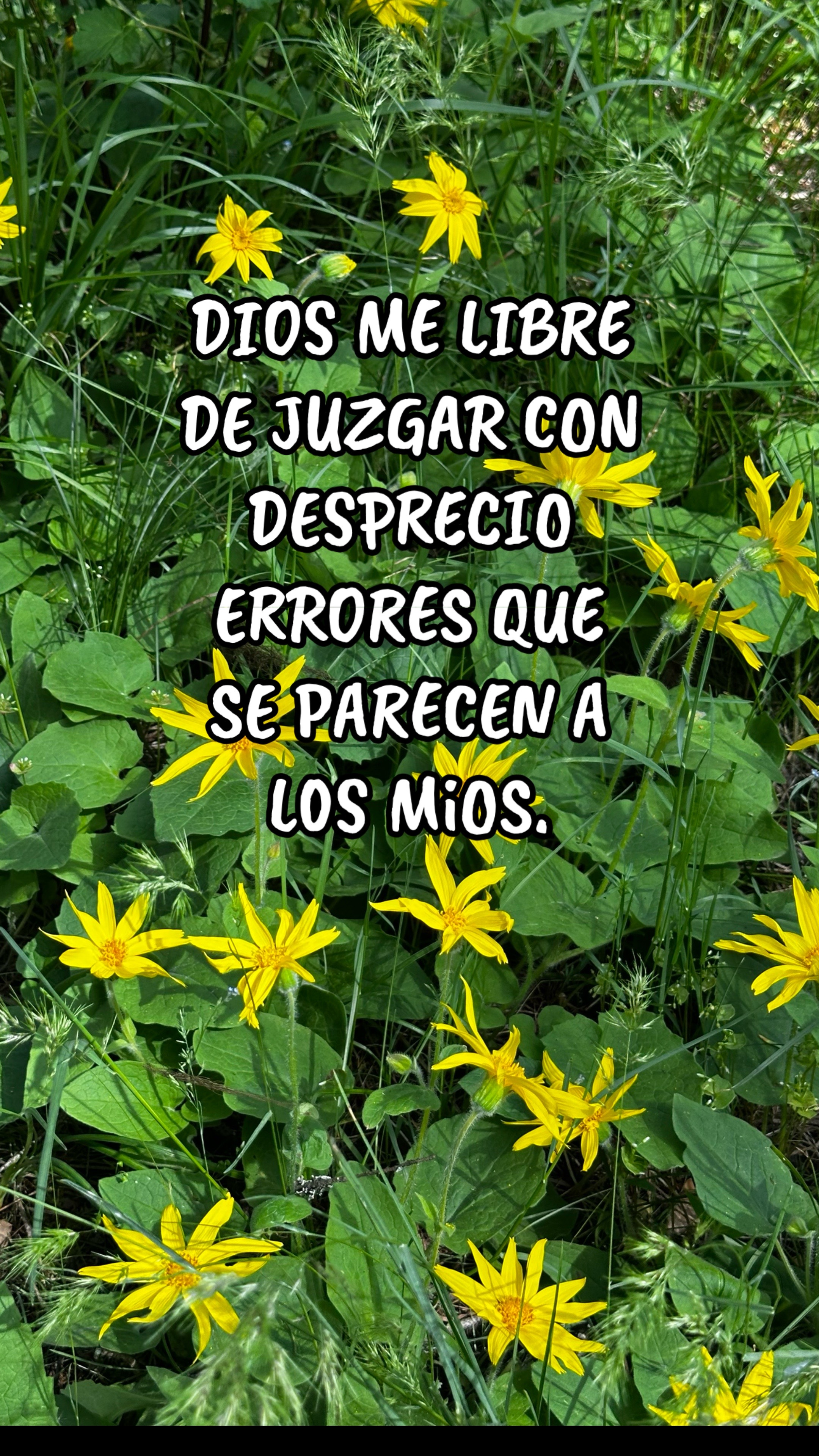 @Linda