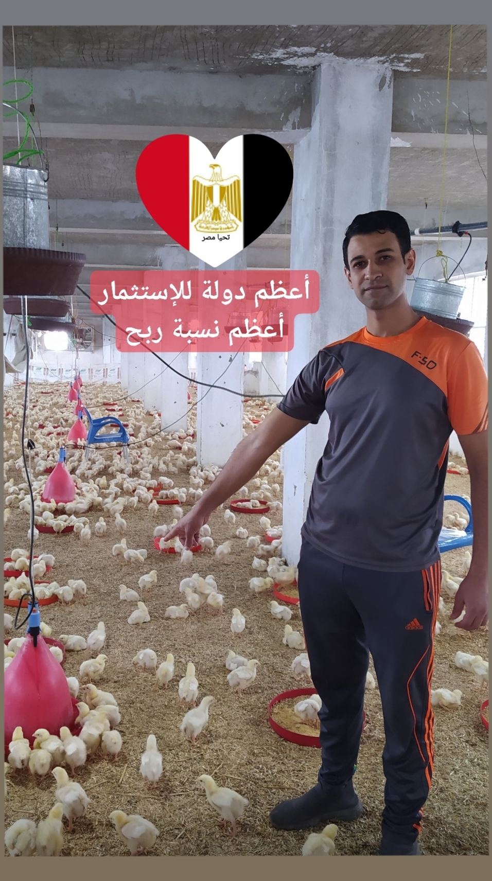 @الاستشاري ابراهيم محمد سلامة