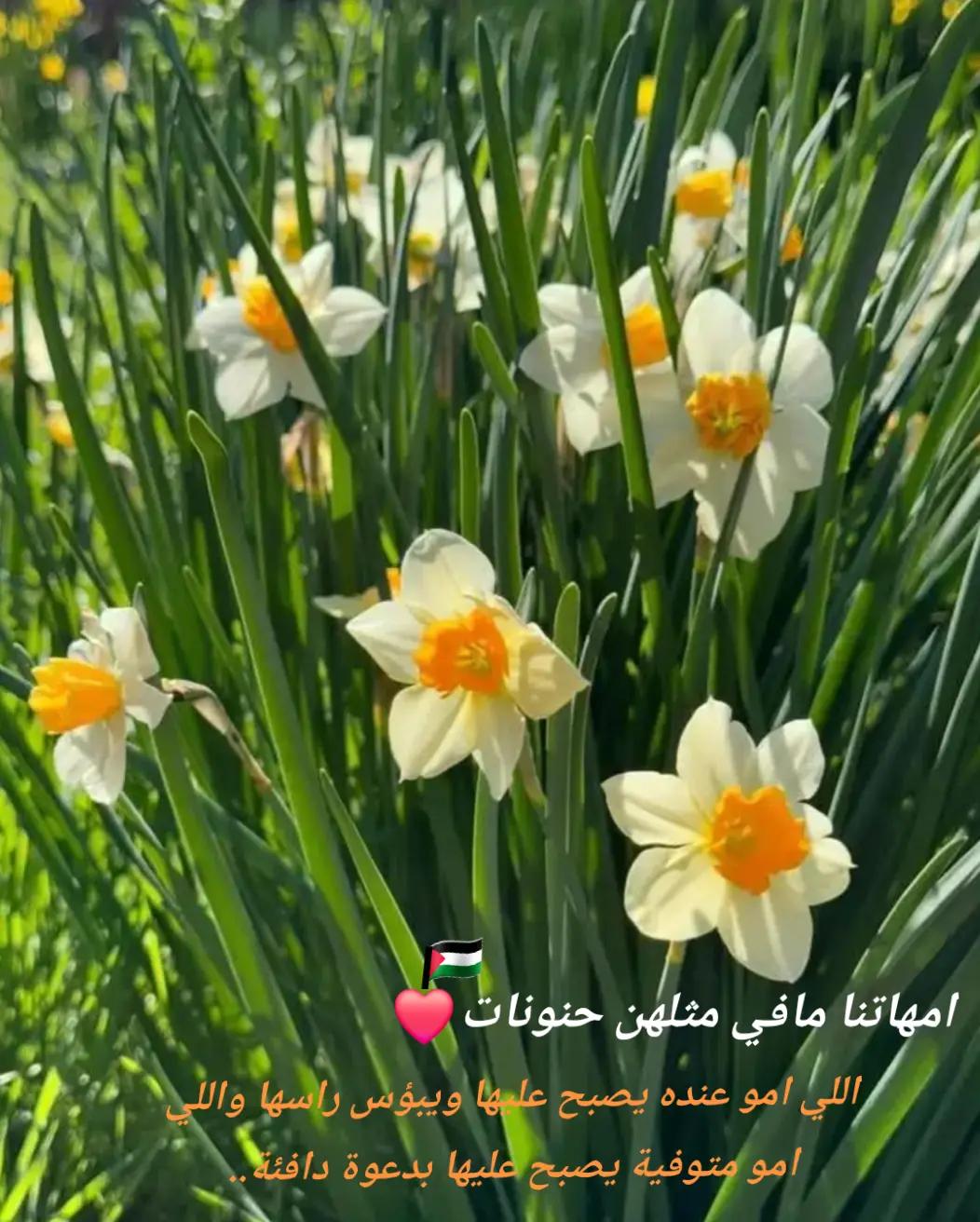 @متطرّف🔻