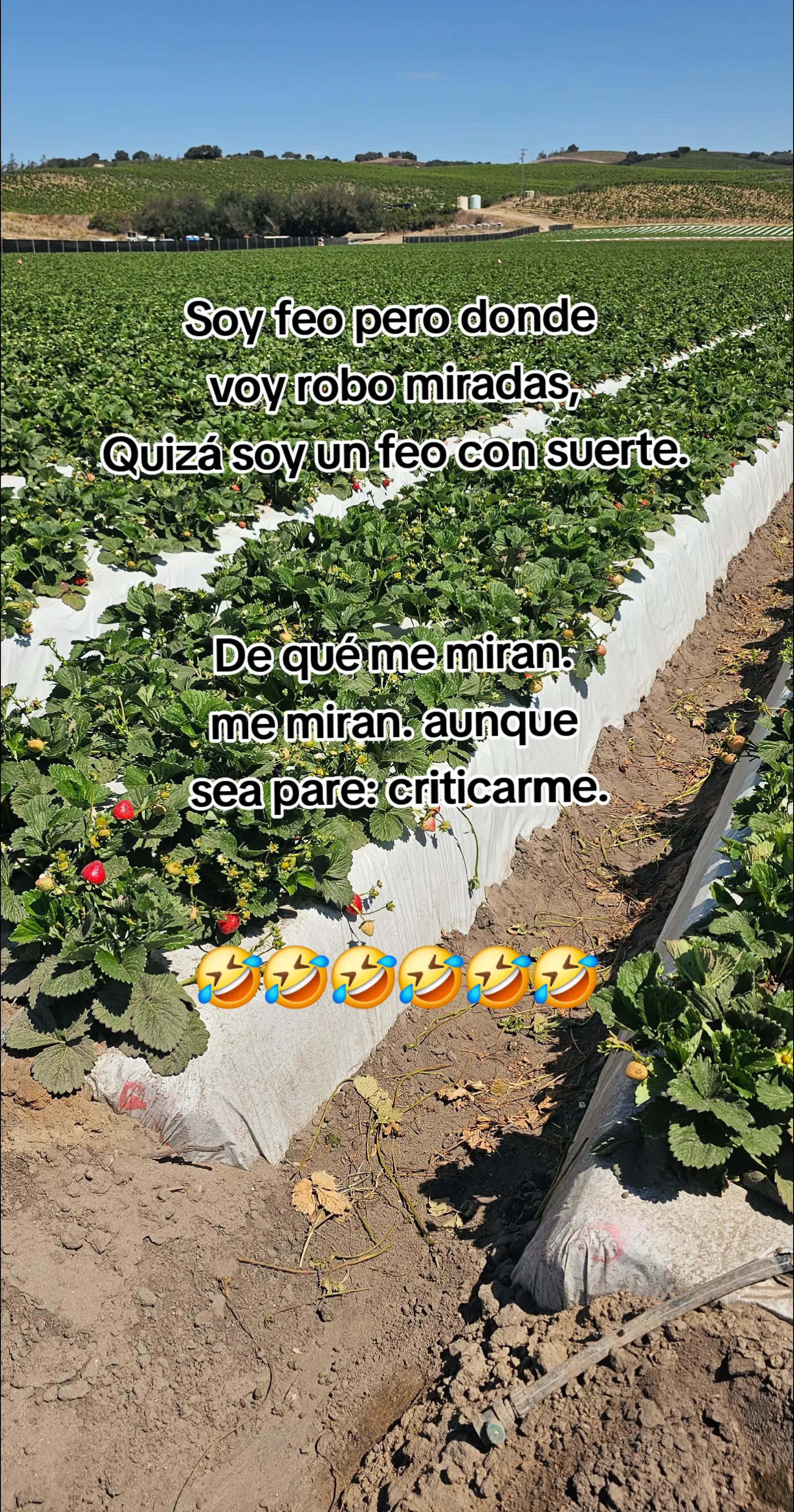@🇲🇽🐦&zwj;⬛🪺VASQUEZ🚚🌪💎