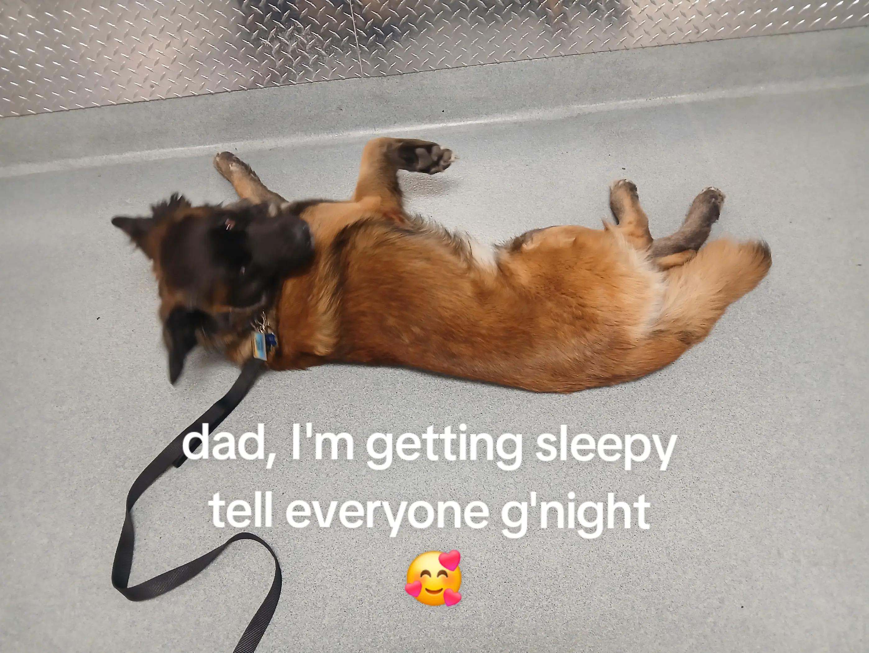 @trucker John