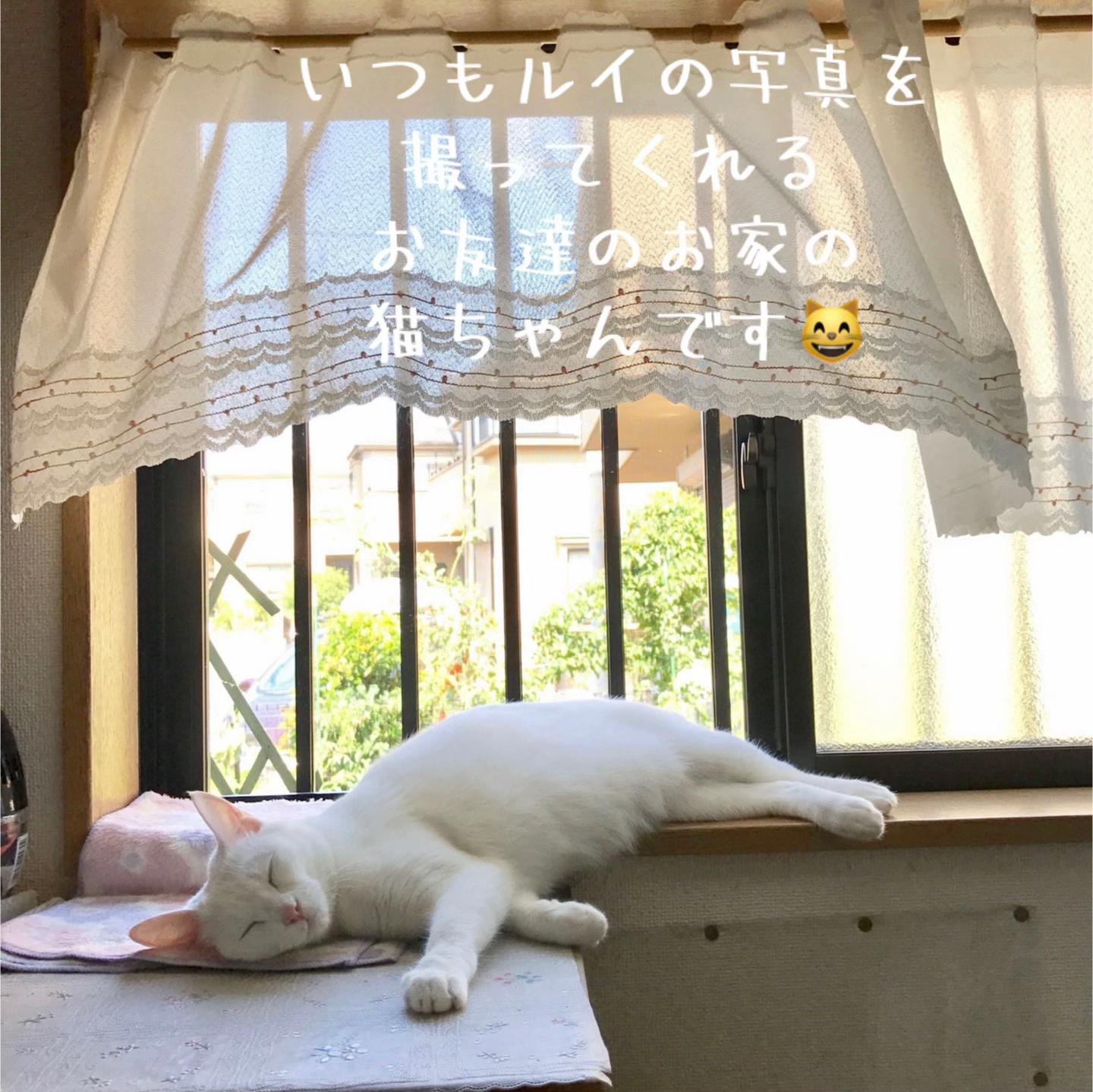 @ルイママ