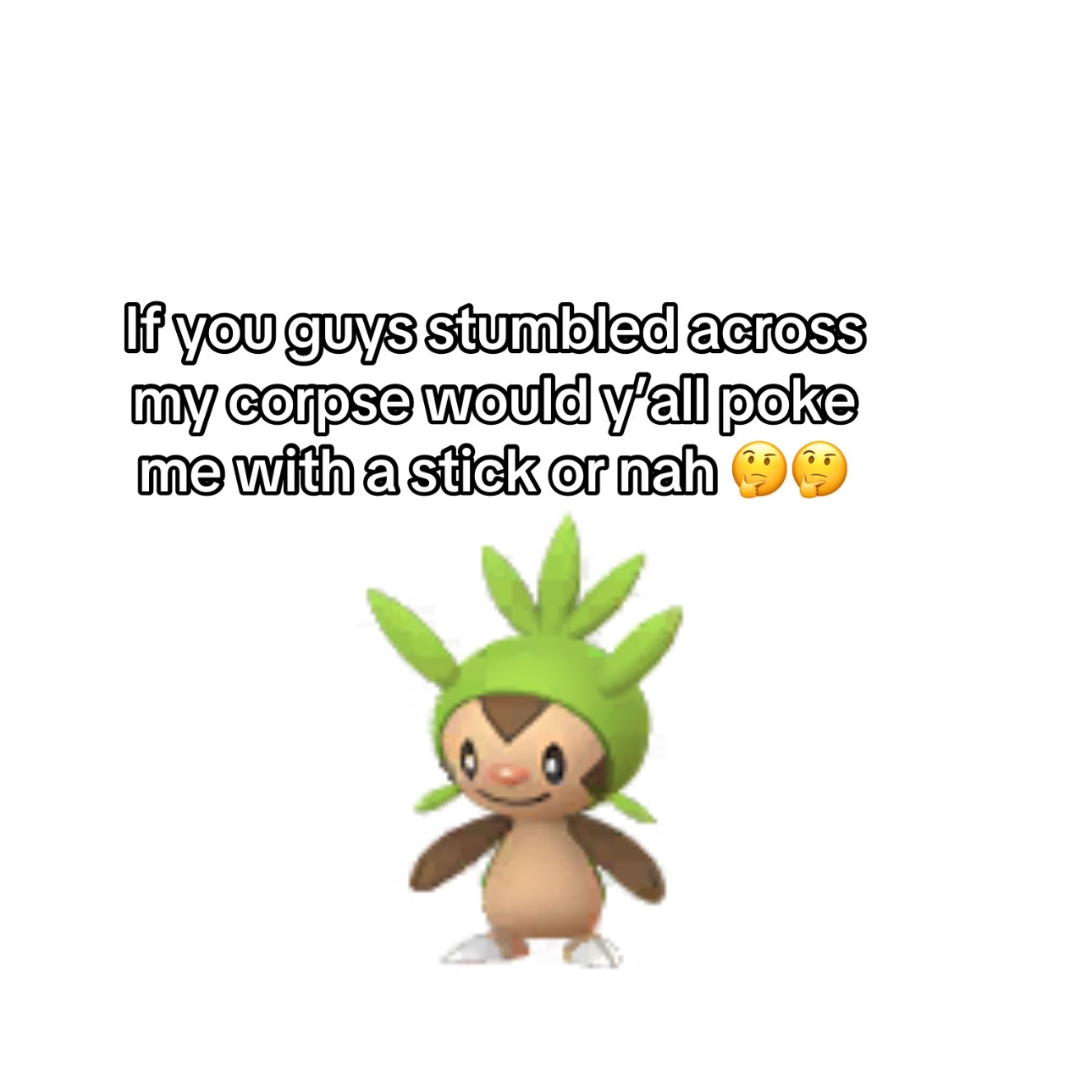 @sterling.the.cat
