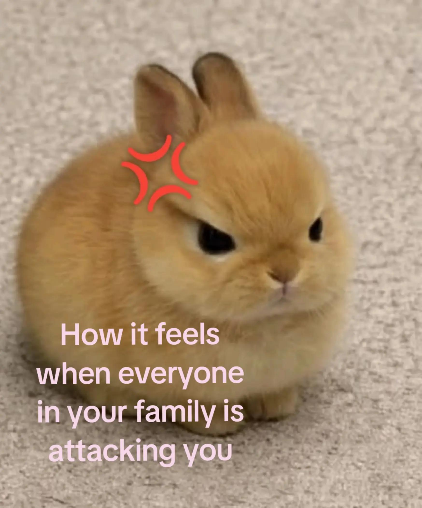 @๐บโข