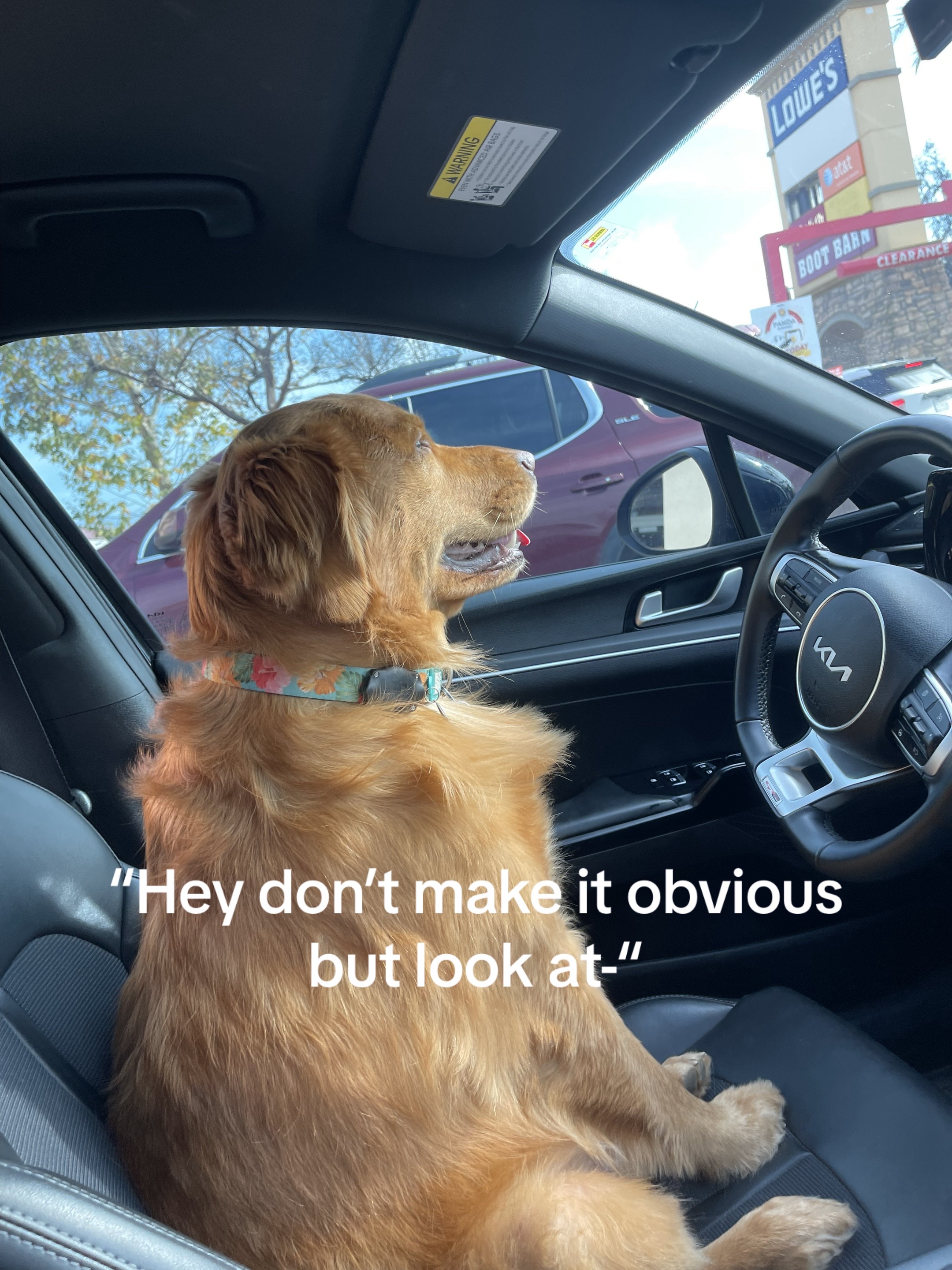 @Kaylee