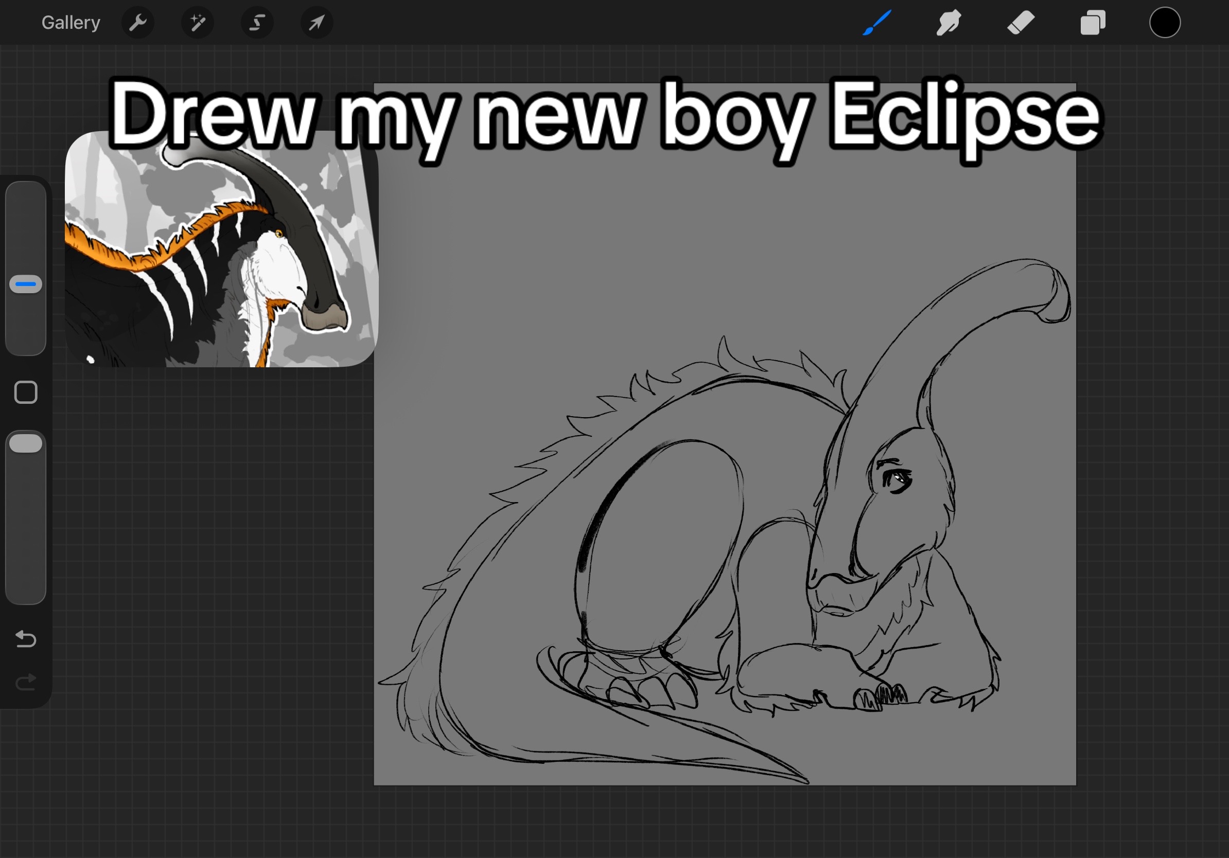@Nara(Comms OPEN!)