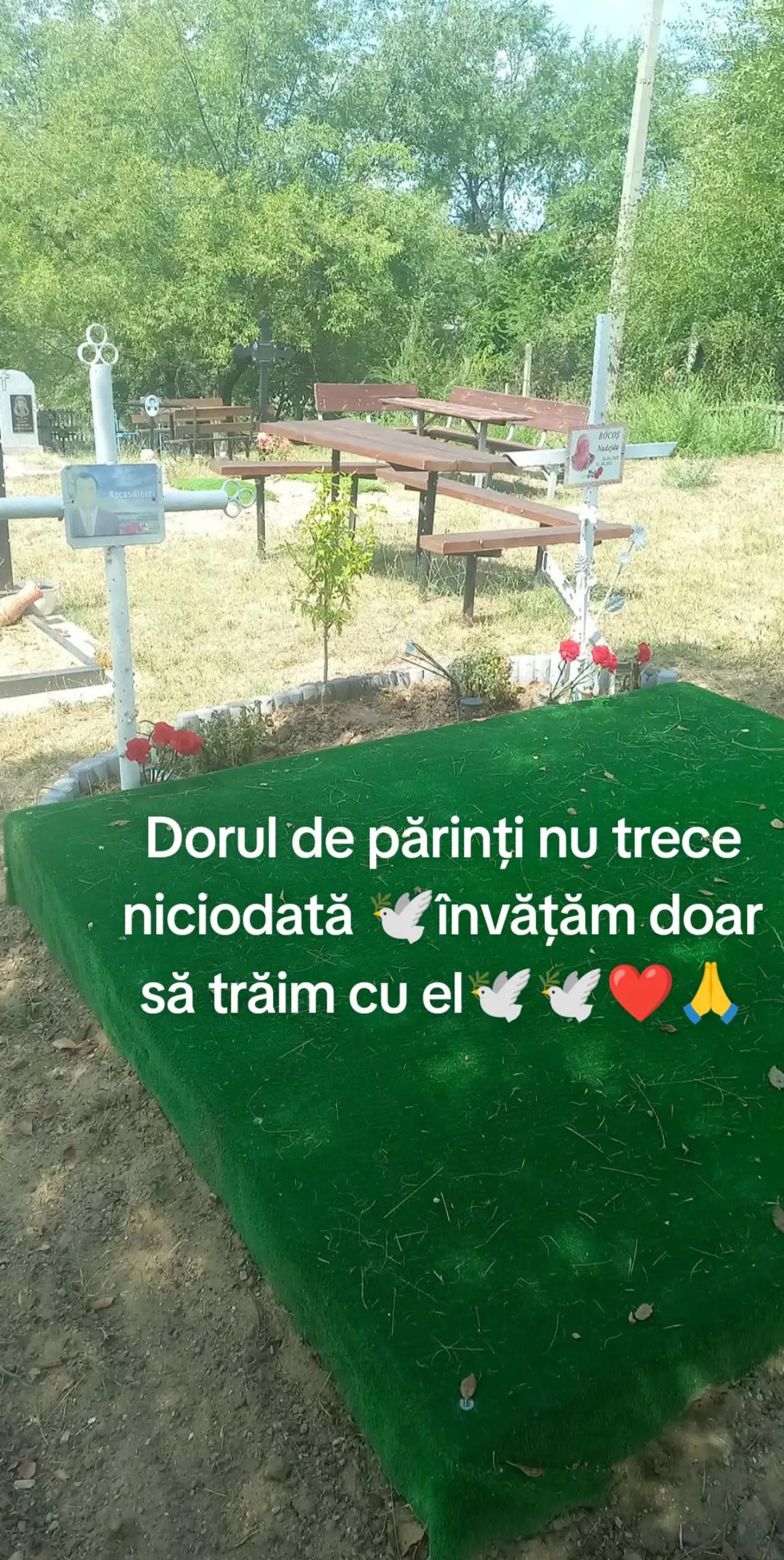 @Ala Bucur