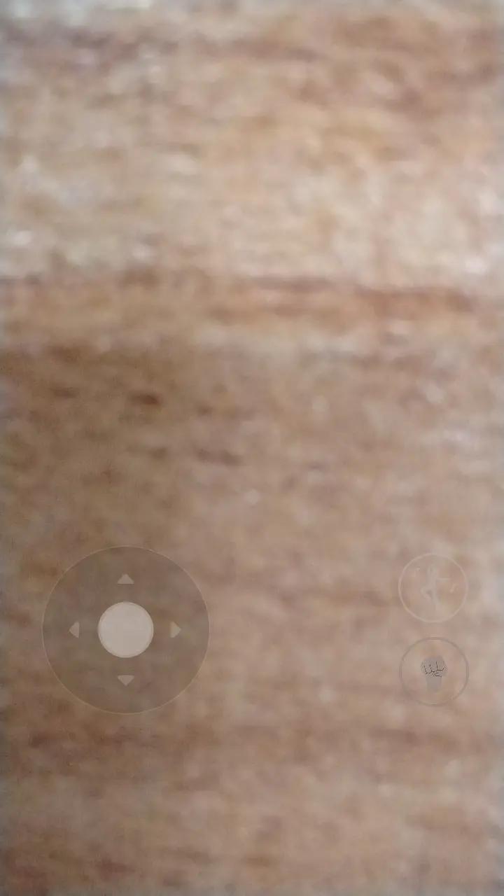 @Giusy Di GIORGIO