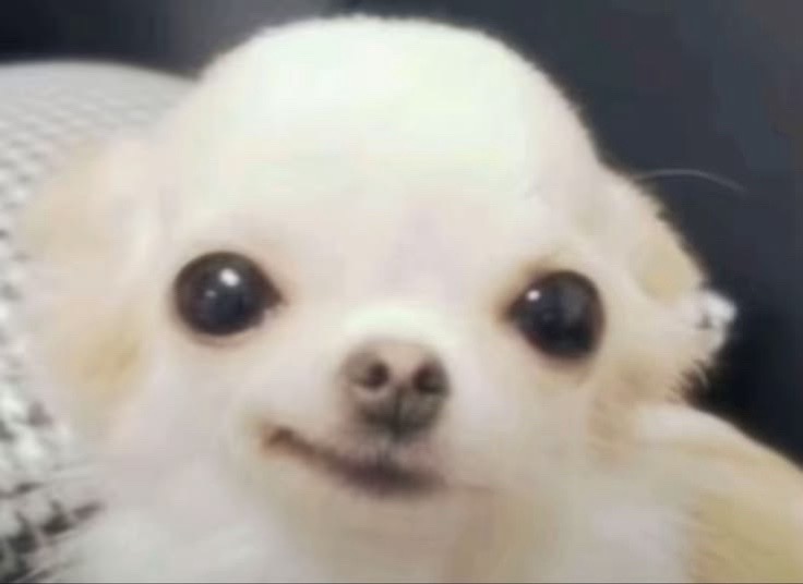 @yare