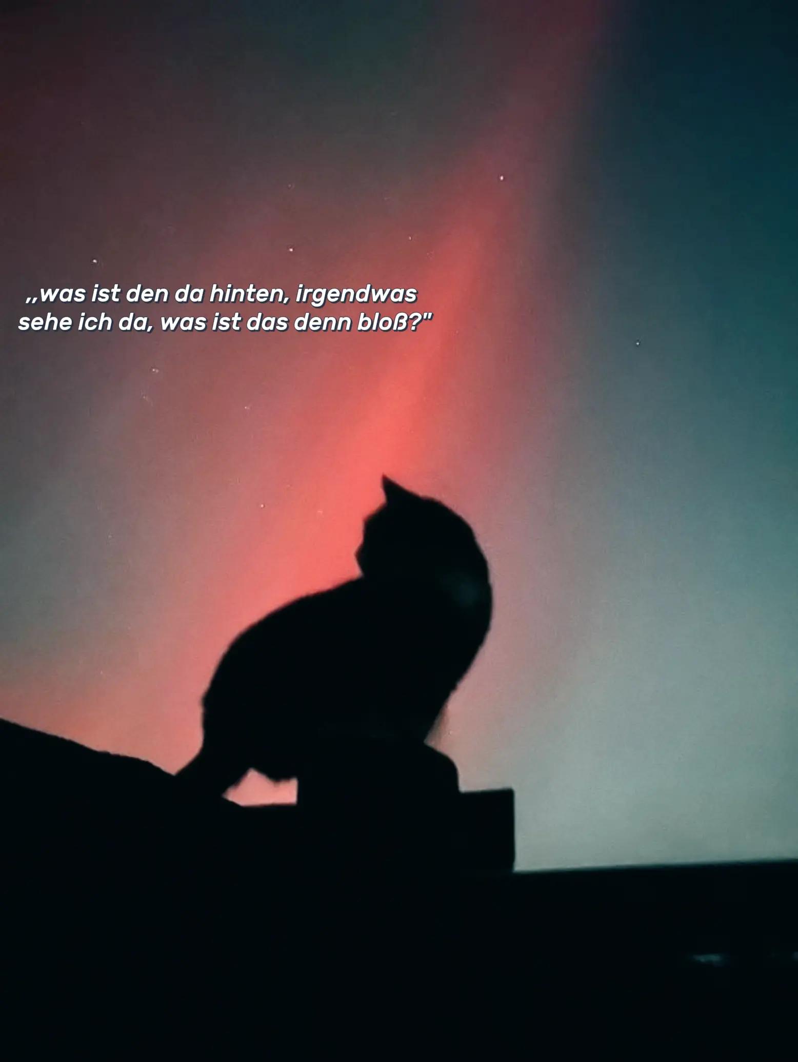 @𝓟𝓪𝓾𝓵𝓲𝓷 🌸