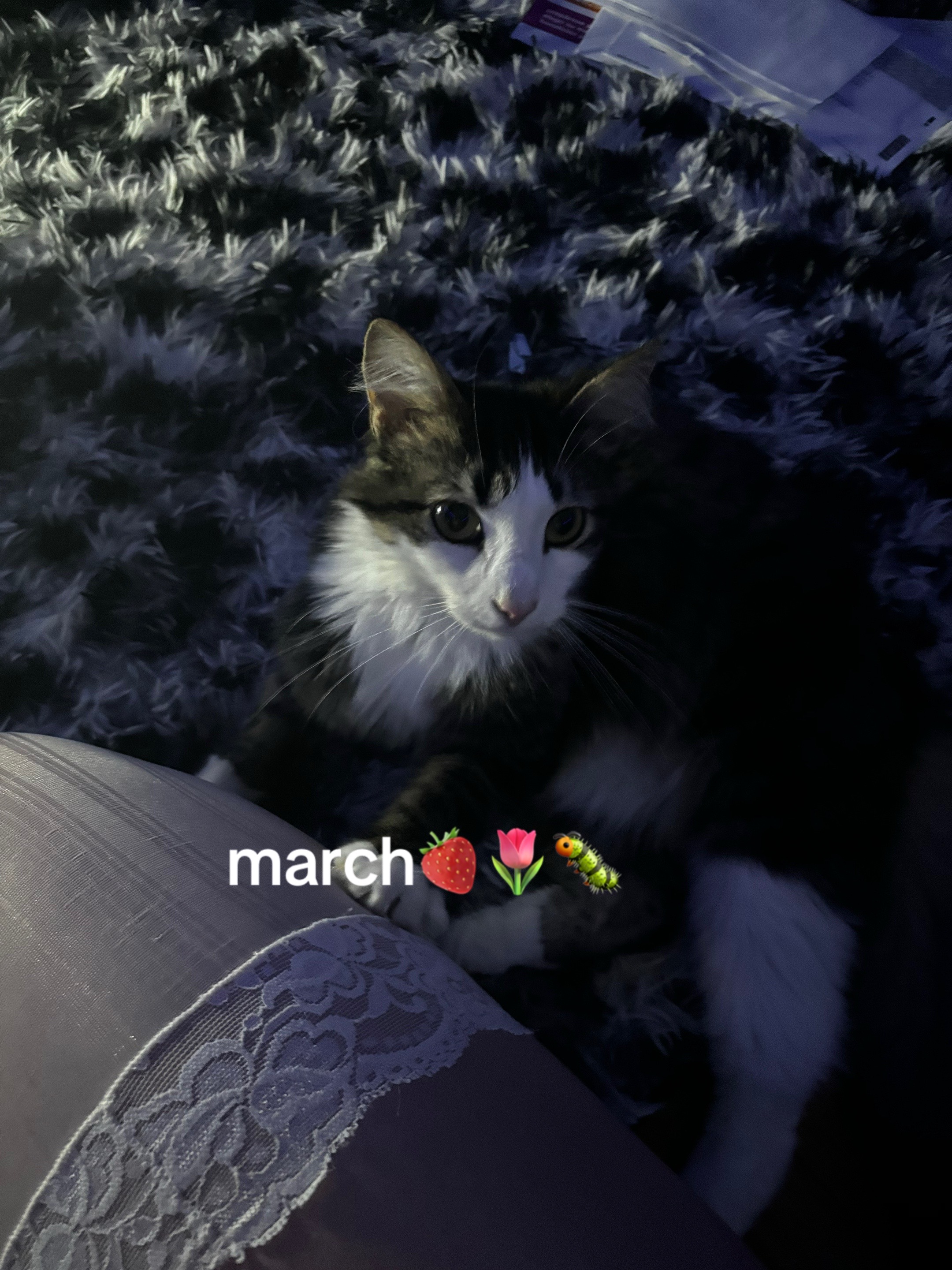 @makayla ✰