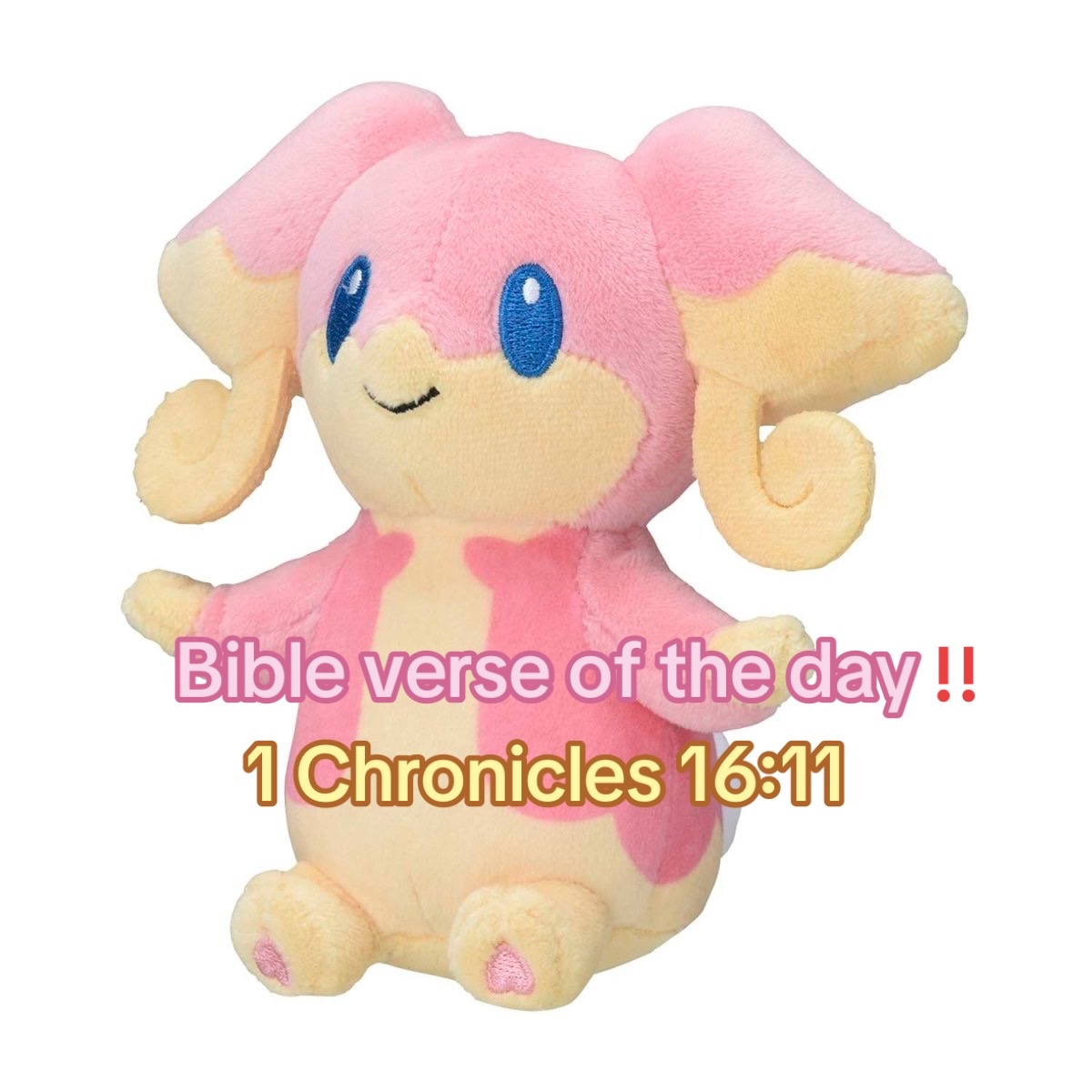 @usagi