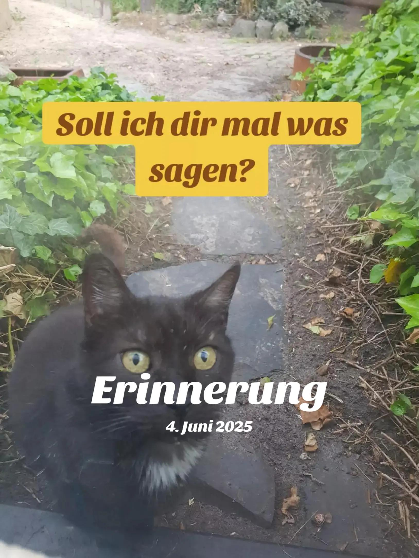 @DieSelbstvOrsorger