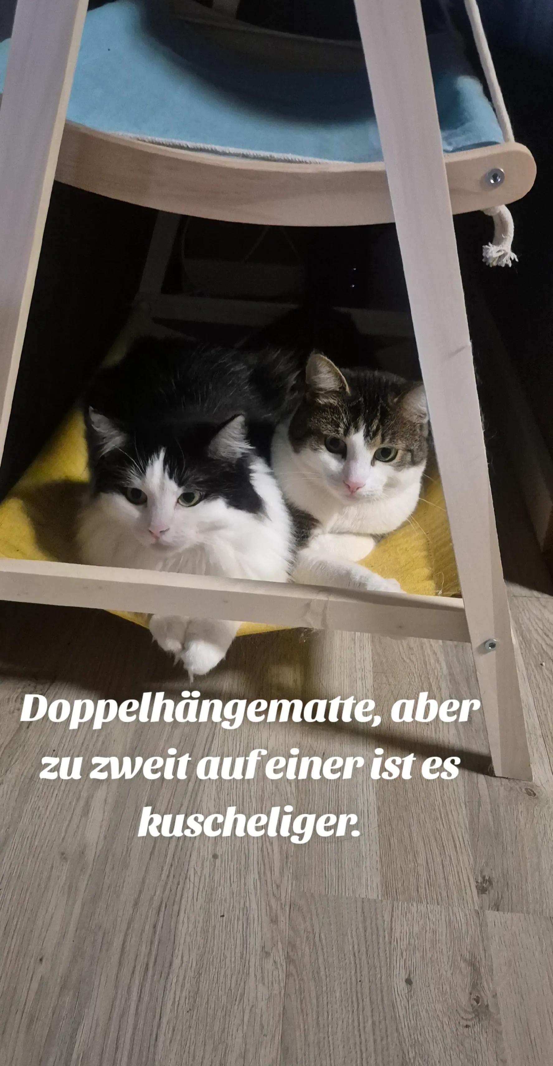 @Heike Schneider