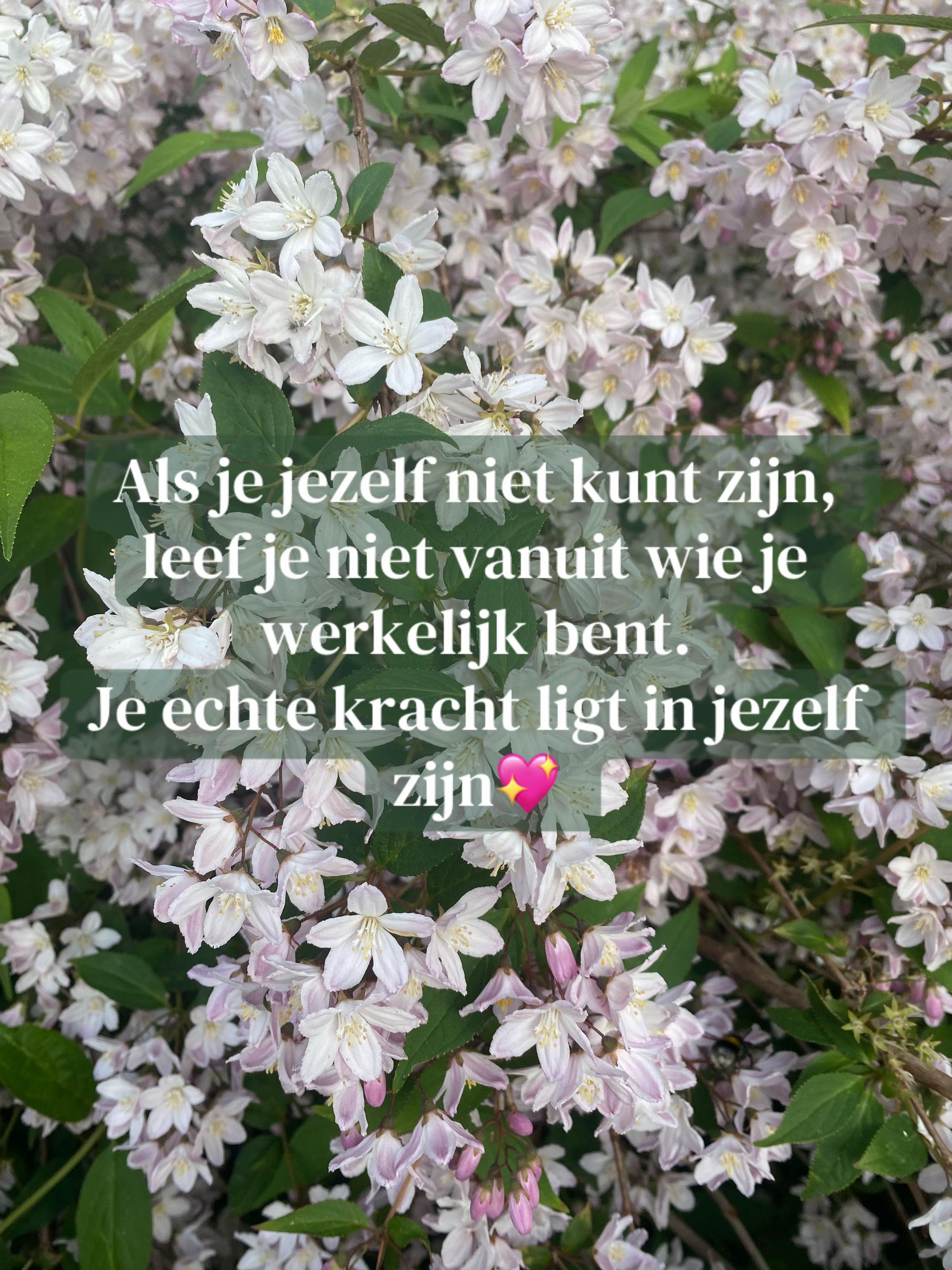 @Marloes.
