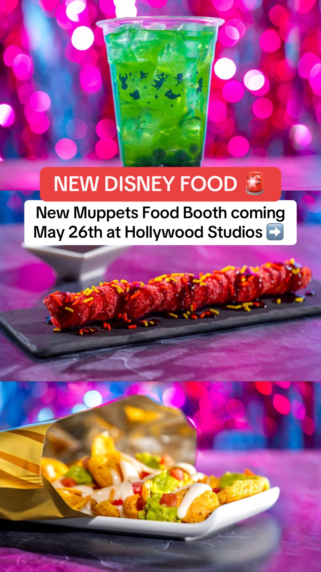 @LBV TV • Disney & Theme Parks
