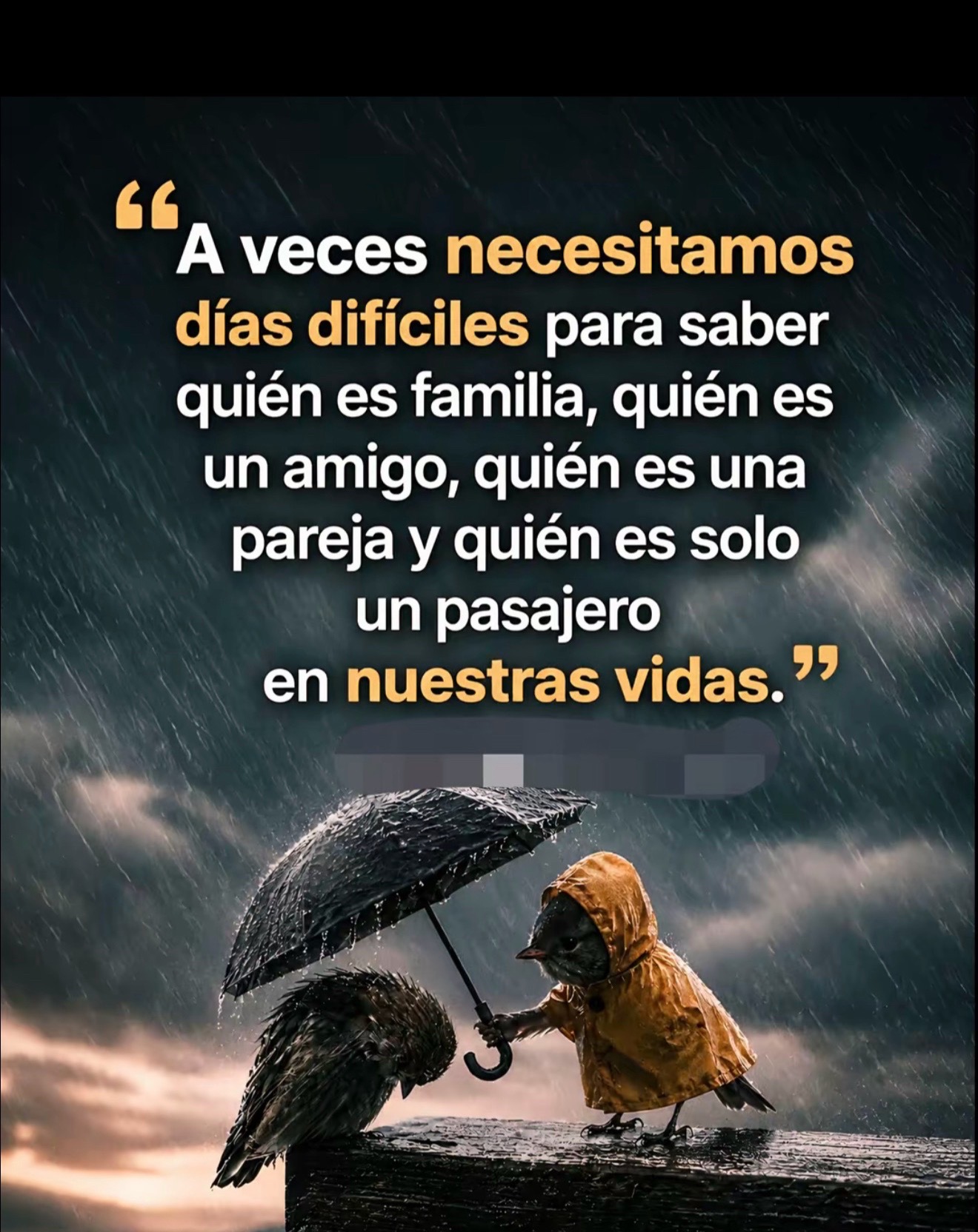 @alexander___espinal