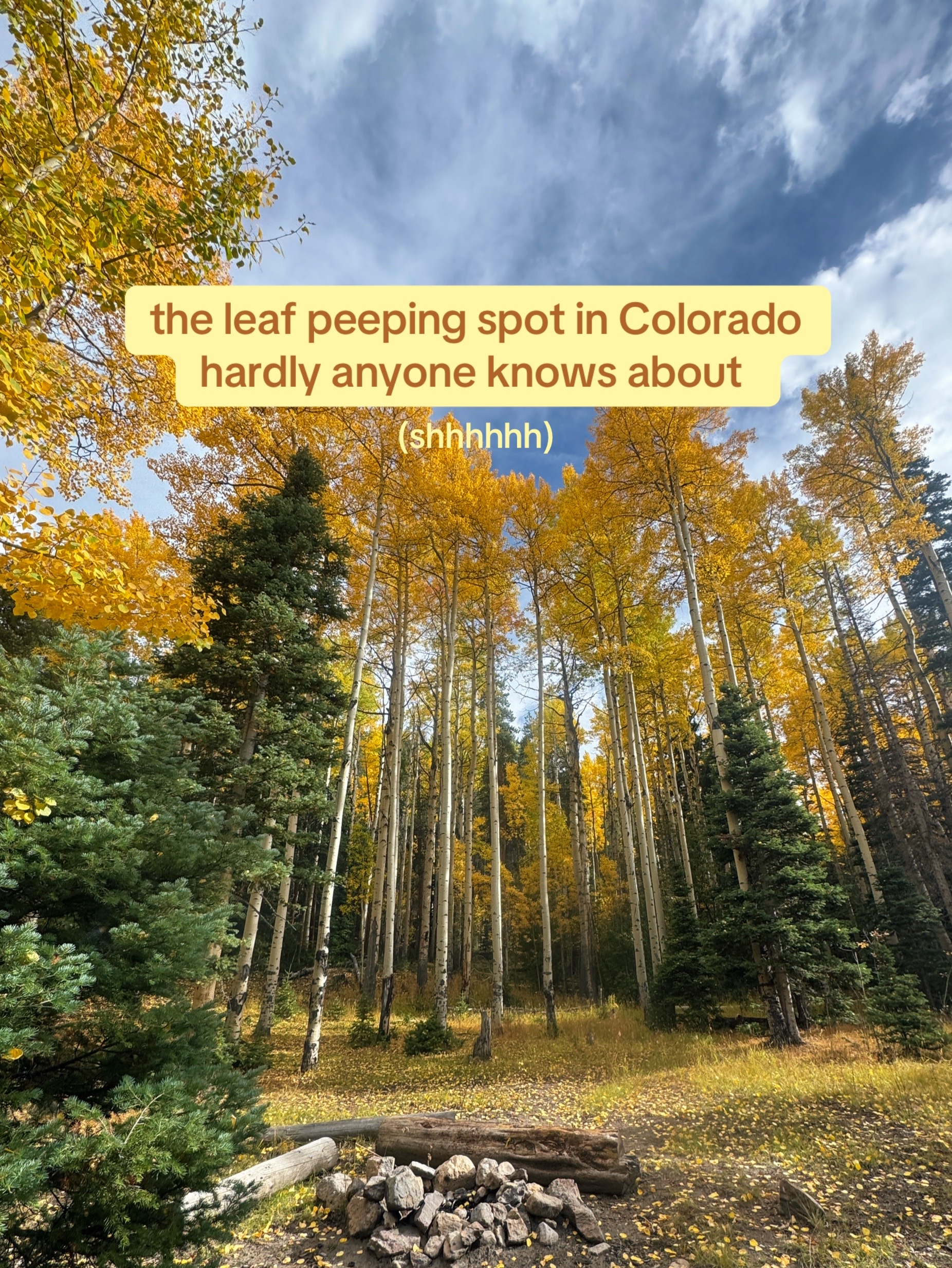 @modernhippiemeg
