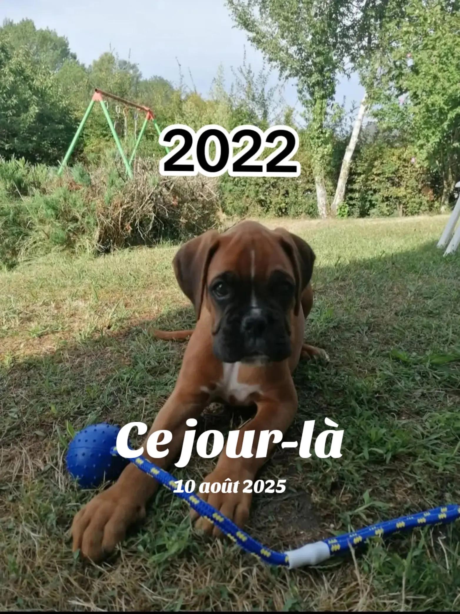 @Aurélie Lilie