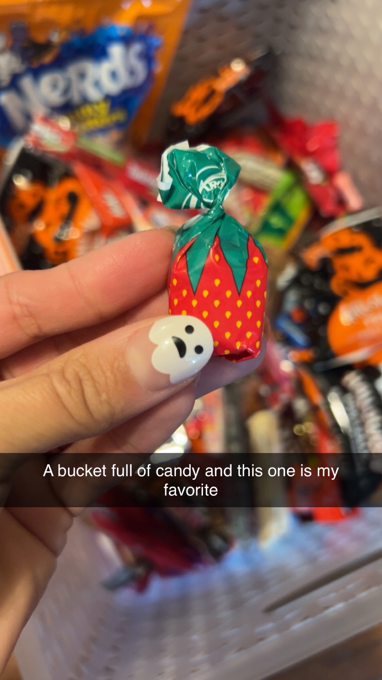 @the.robertsfam