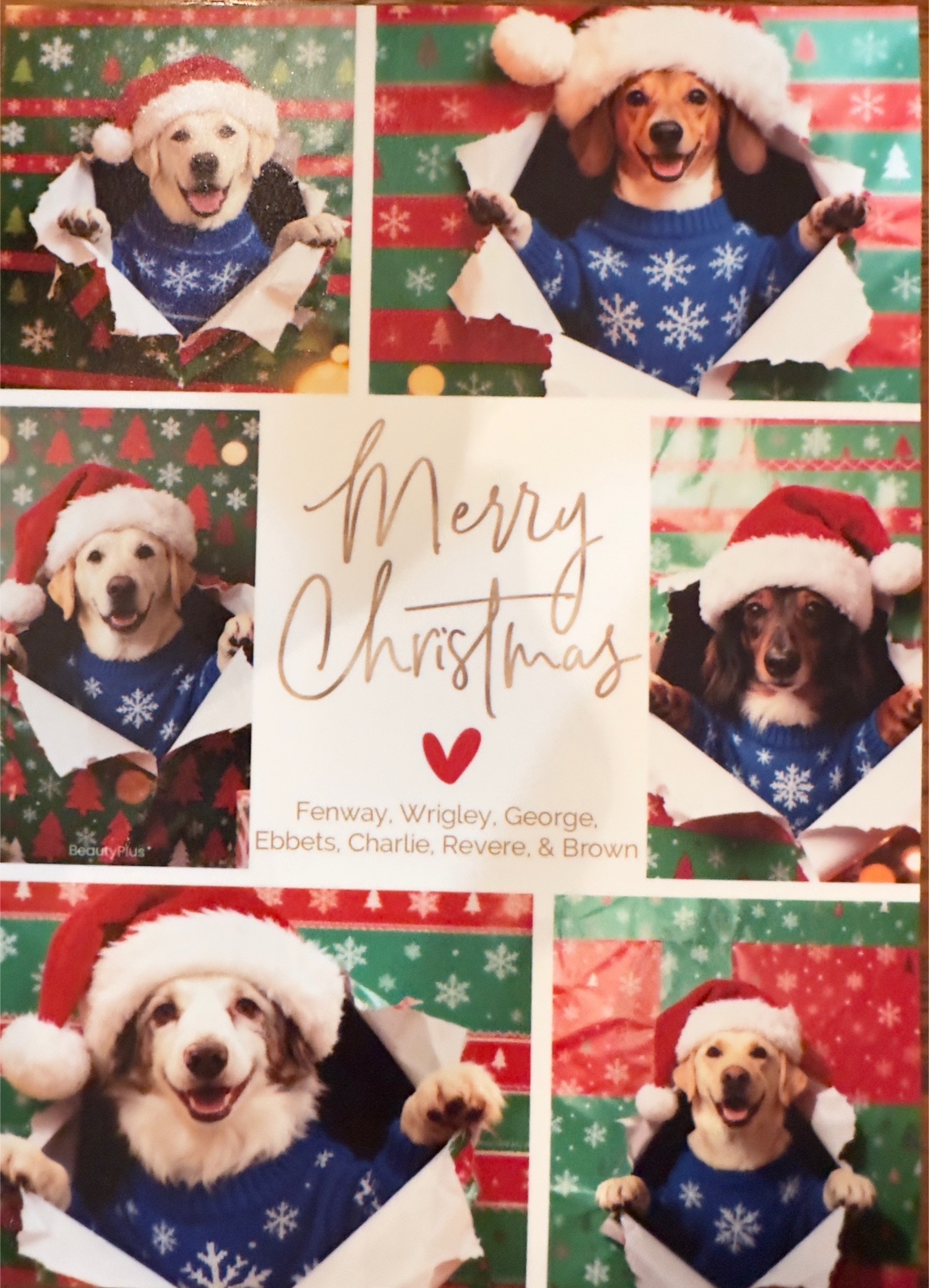 @@ballparkdoxies