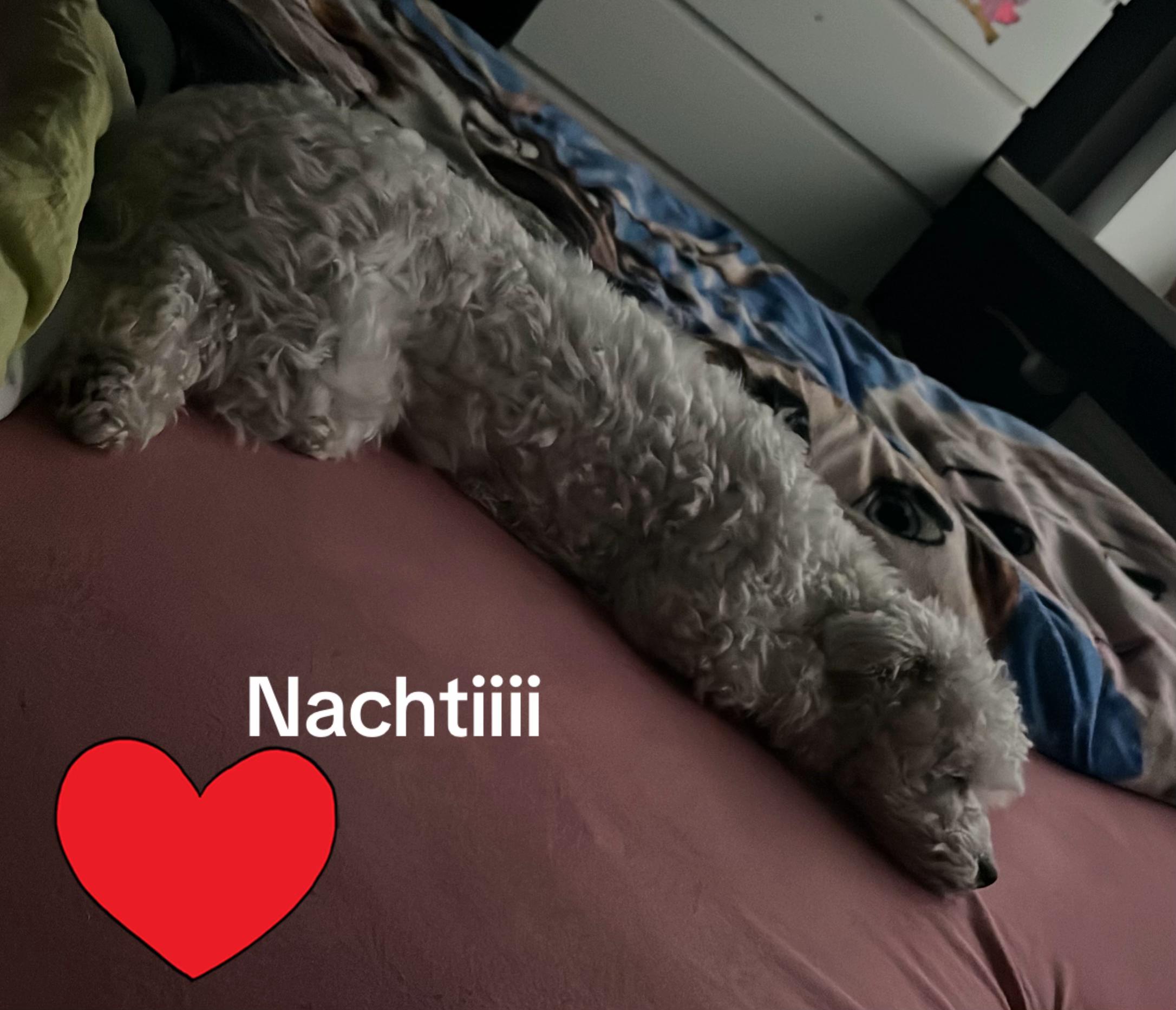 @Molly 🥰
