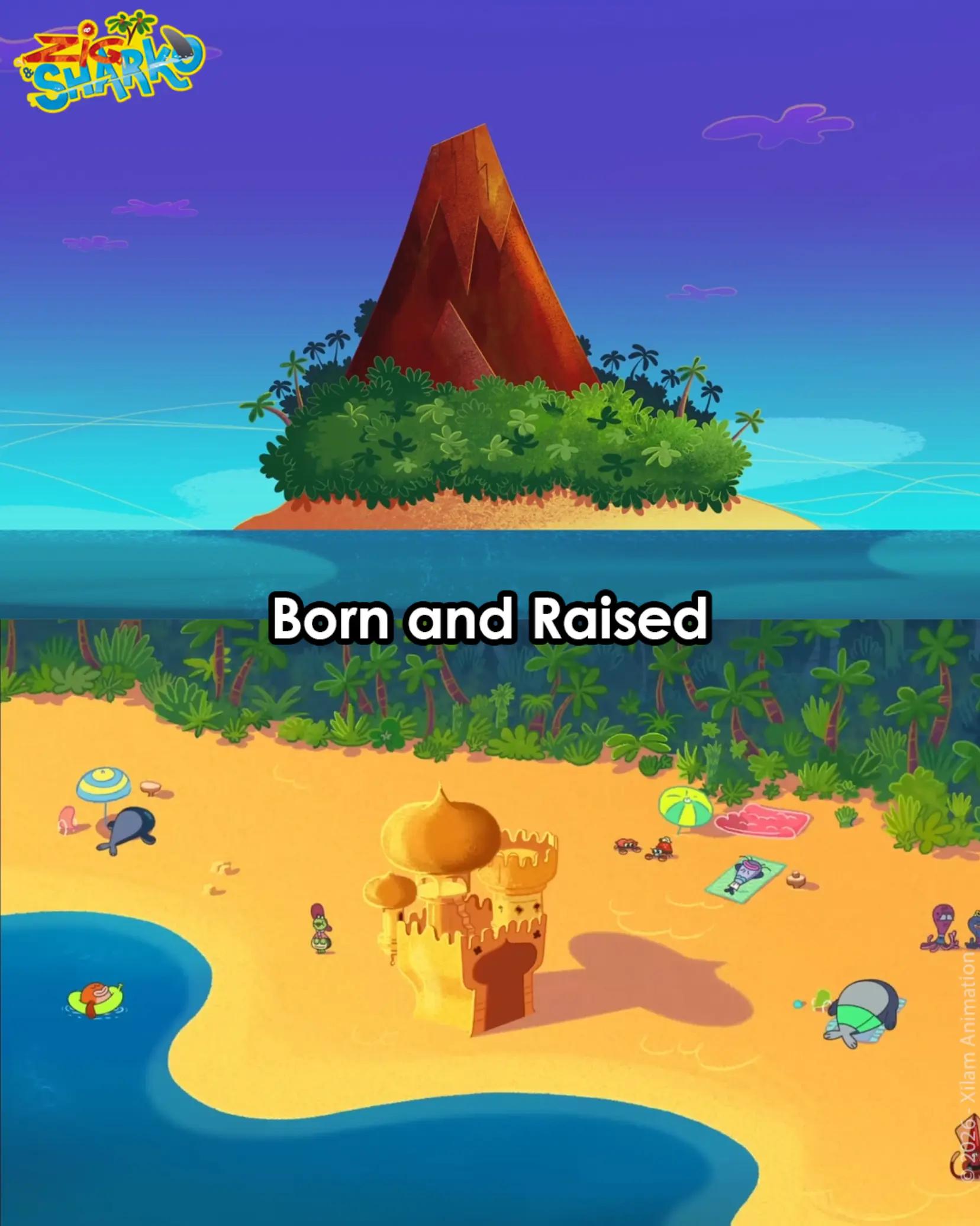 @Zig & Sharko 🌴