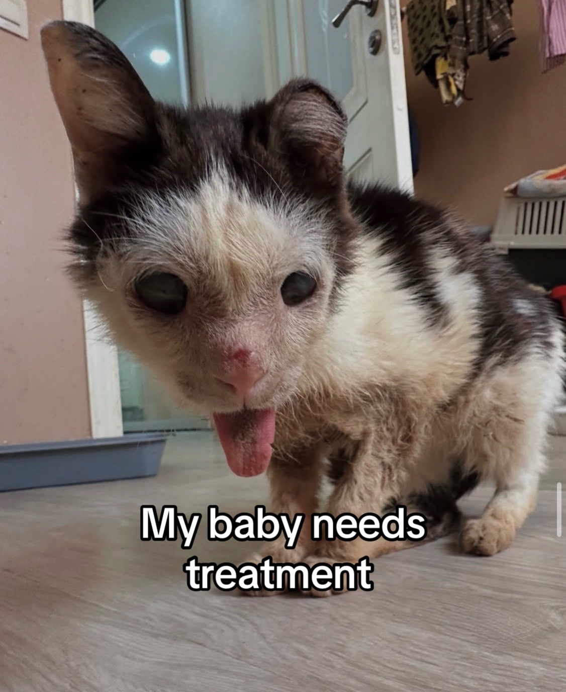 @wemakerescues