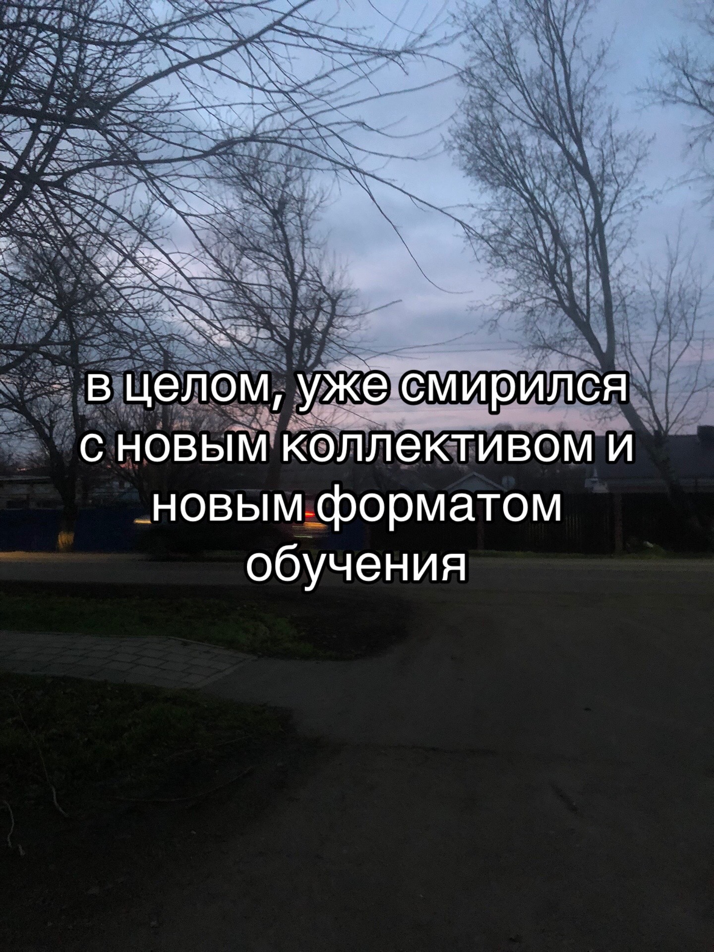 @первый снег