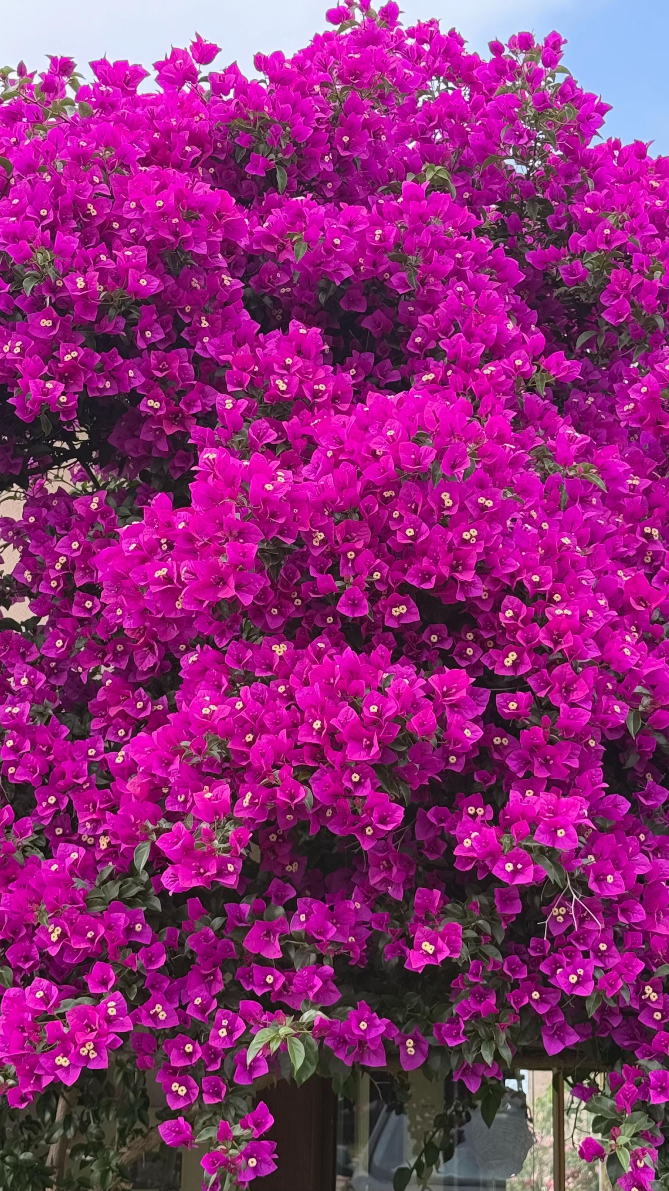 @Hanife Gen&ccedil; 🌺🍀🍀🌺