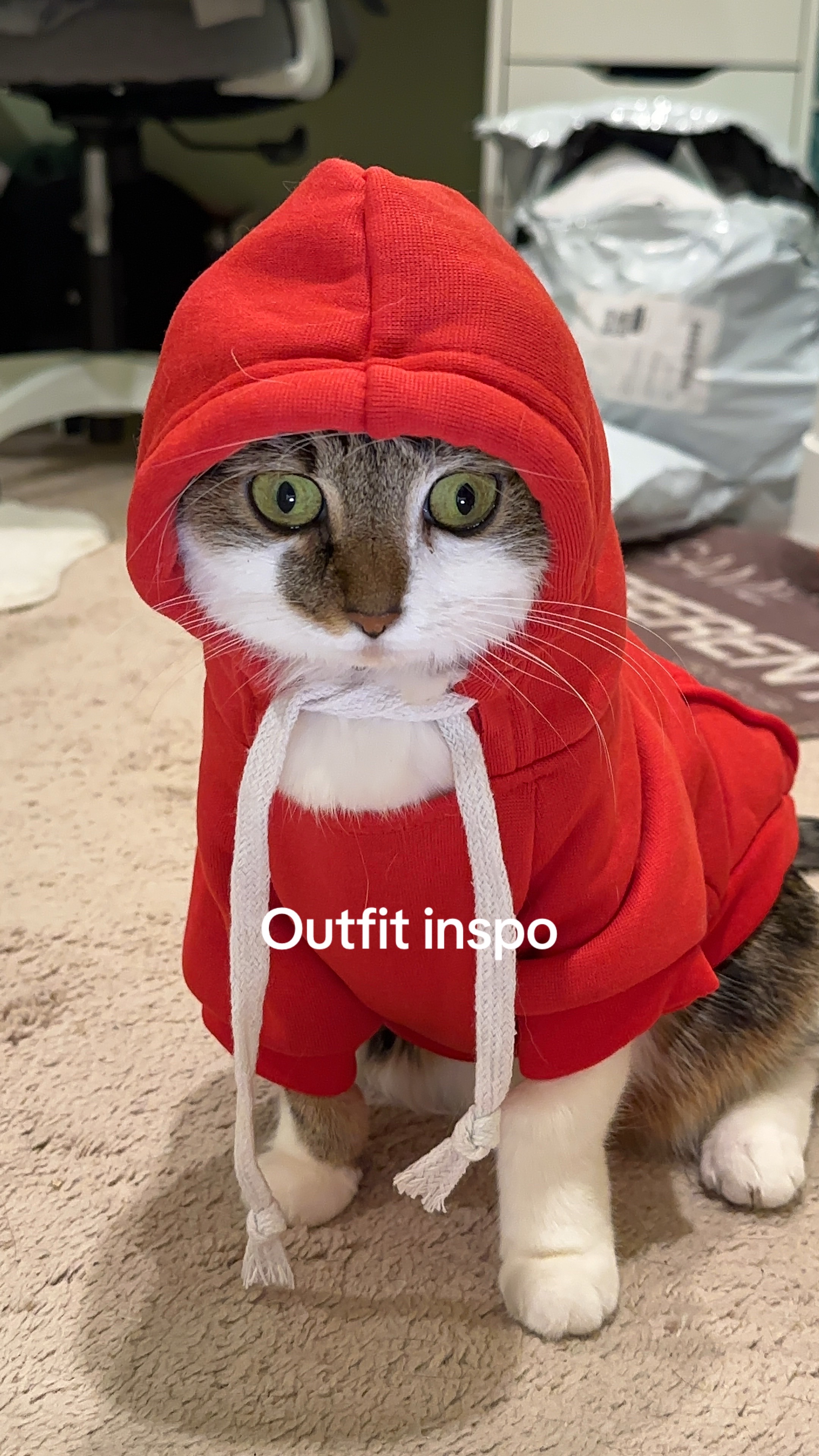 @Suki Purrs