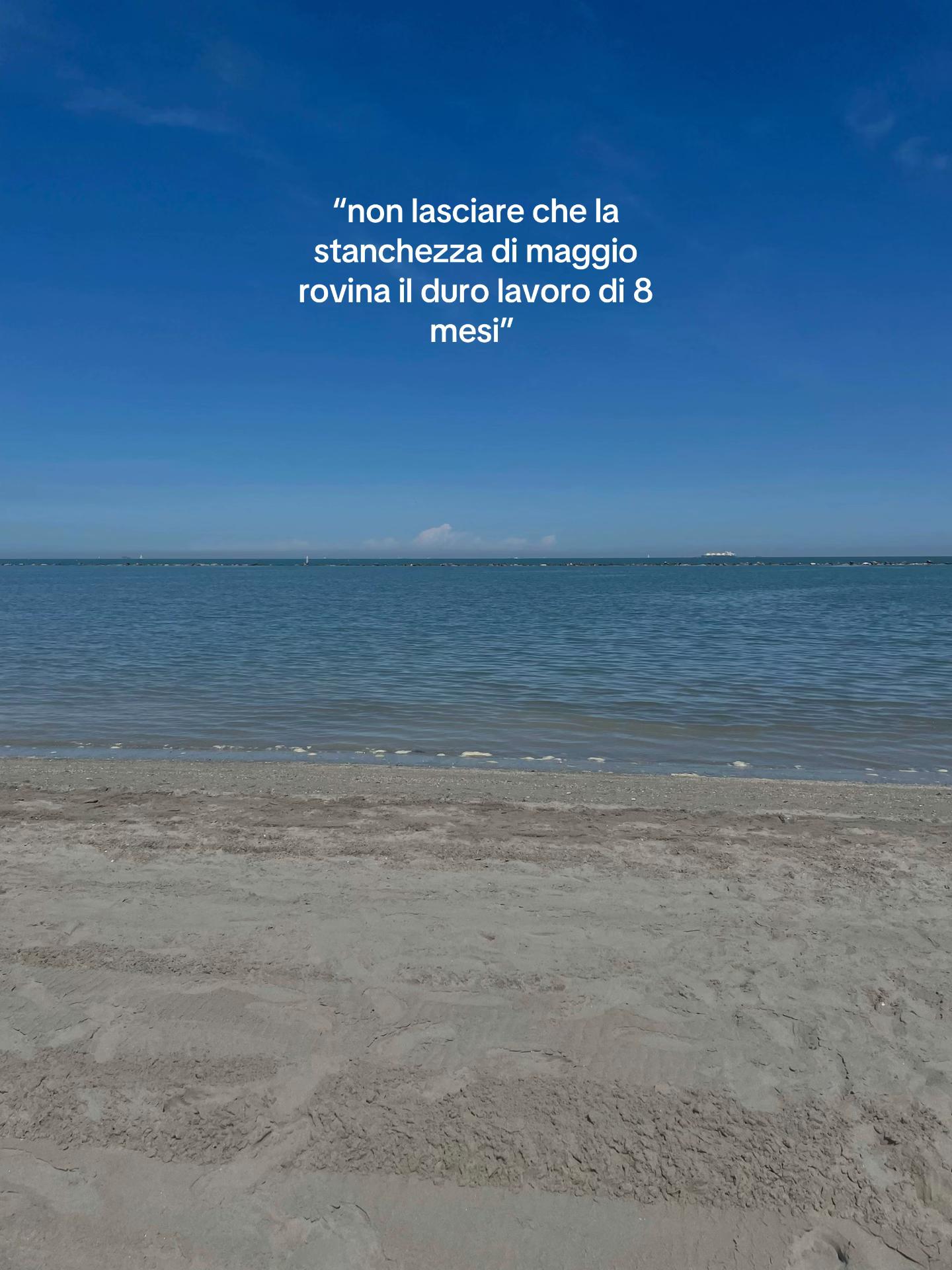@ℳ🐚