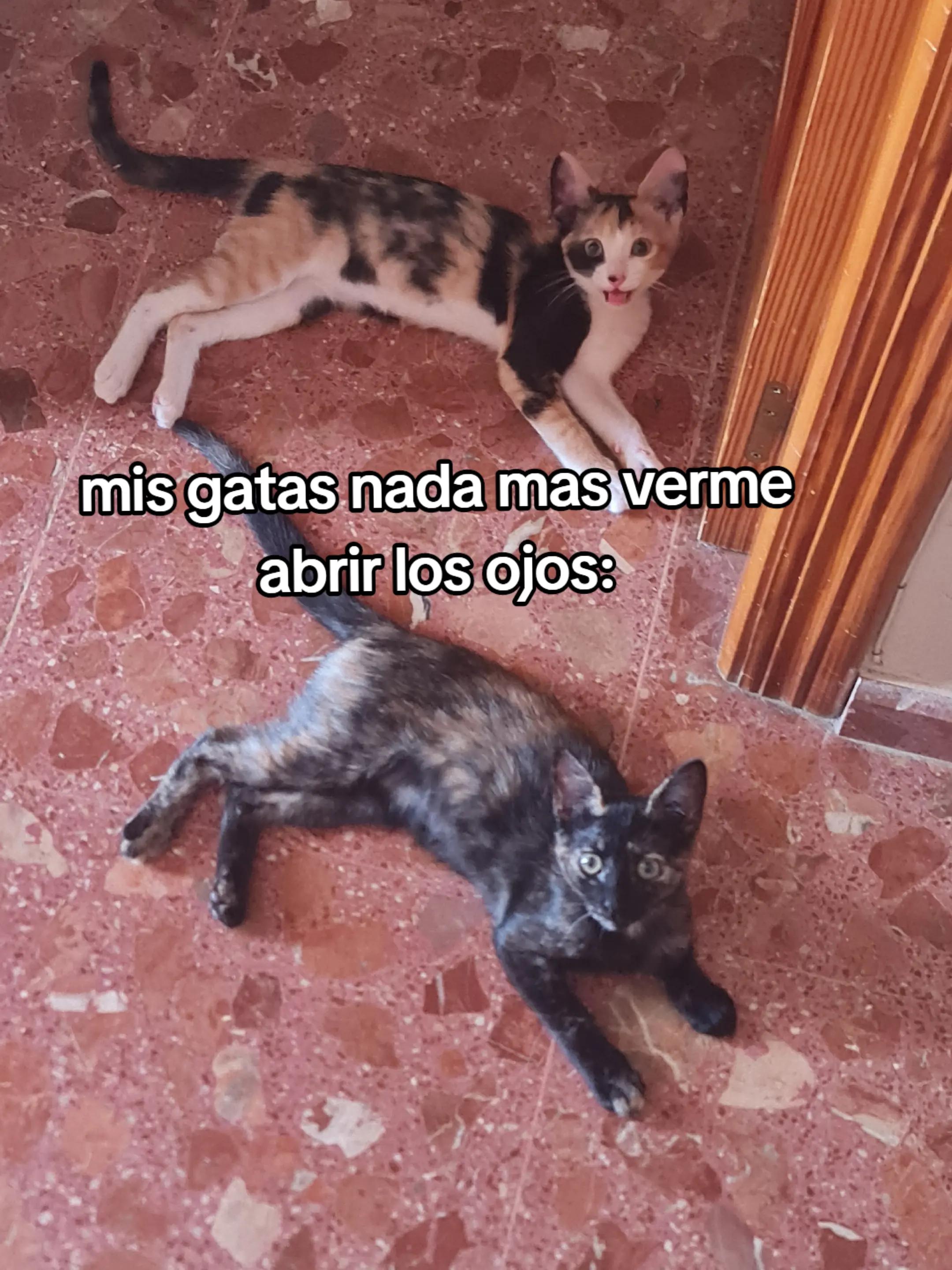 @R.