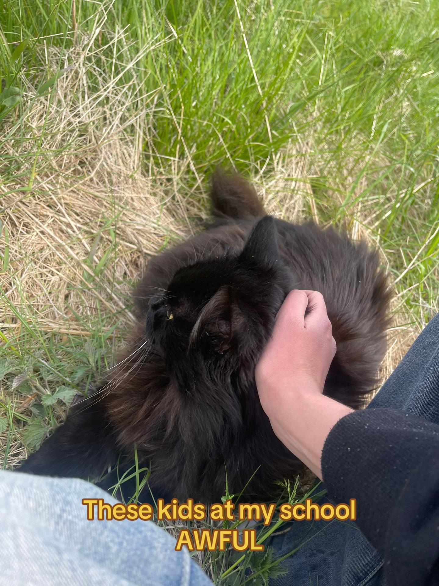 @k4vehmeowmeow🖇️🌞