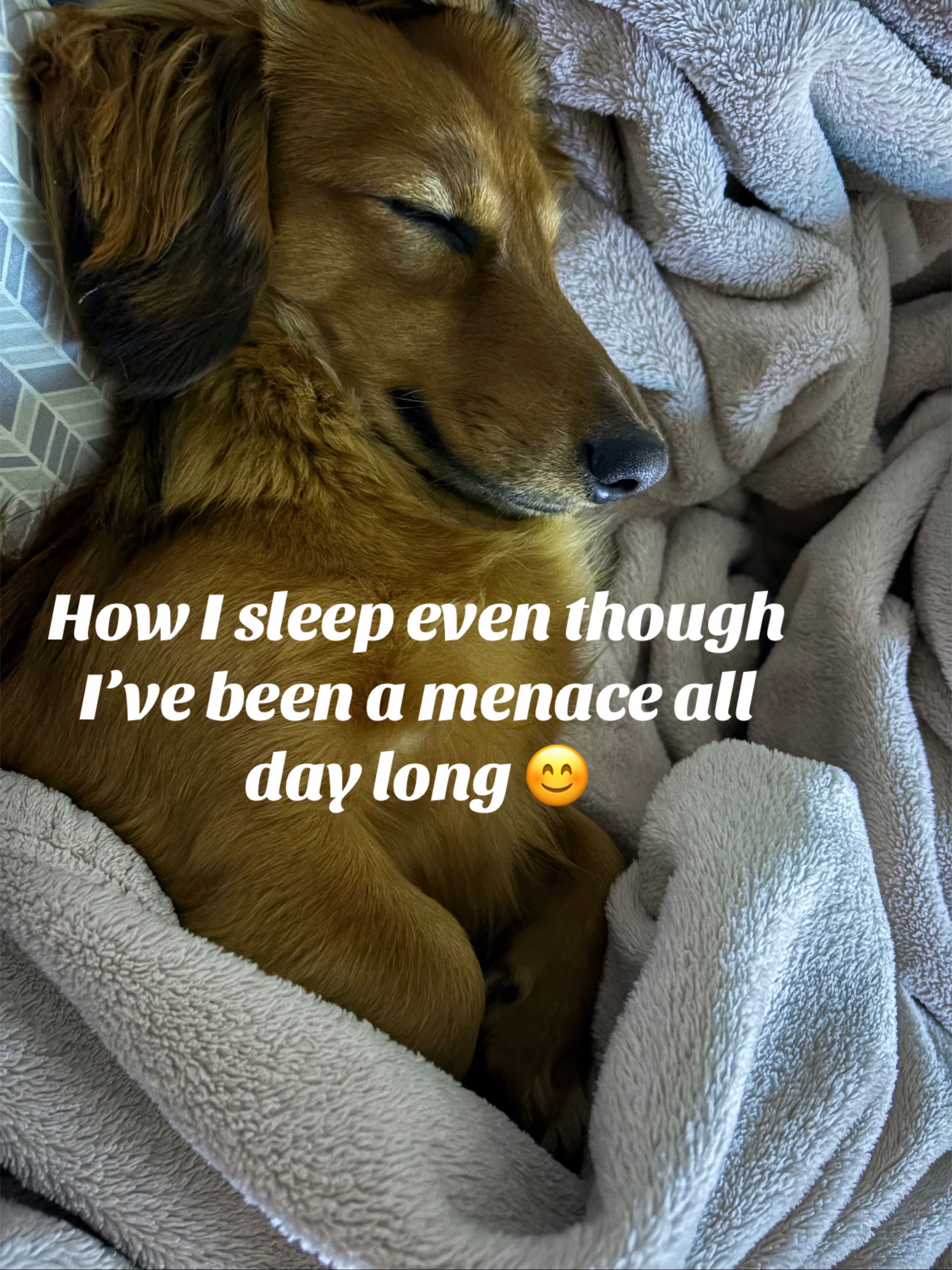 @remi.the.mini.ween