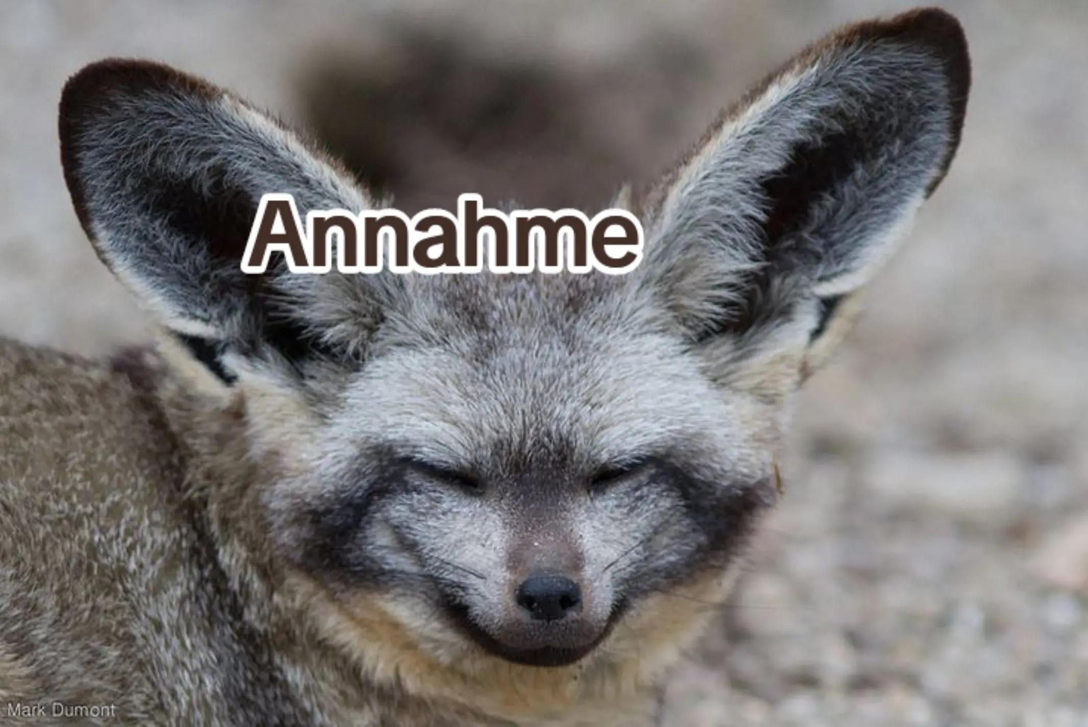 @ErismarKitsune 🦊🌑/🩵🩸