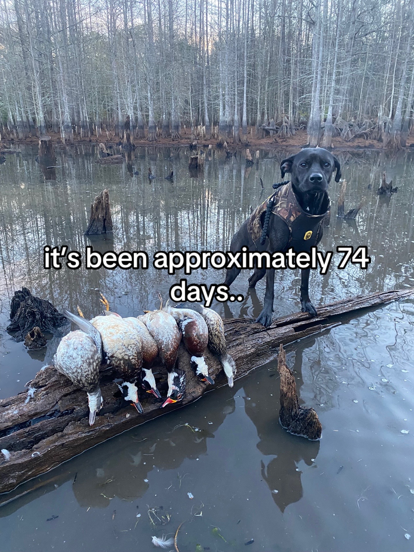@MAC Outdoors & Outdoorsmen