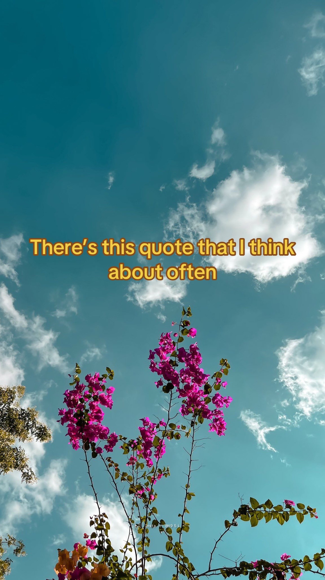 @matttol919