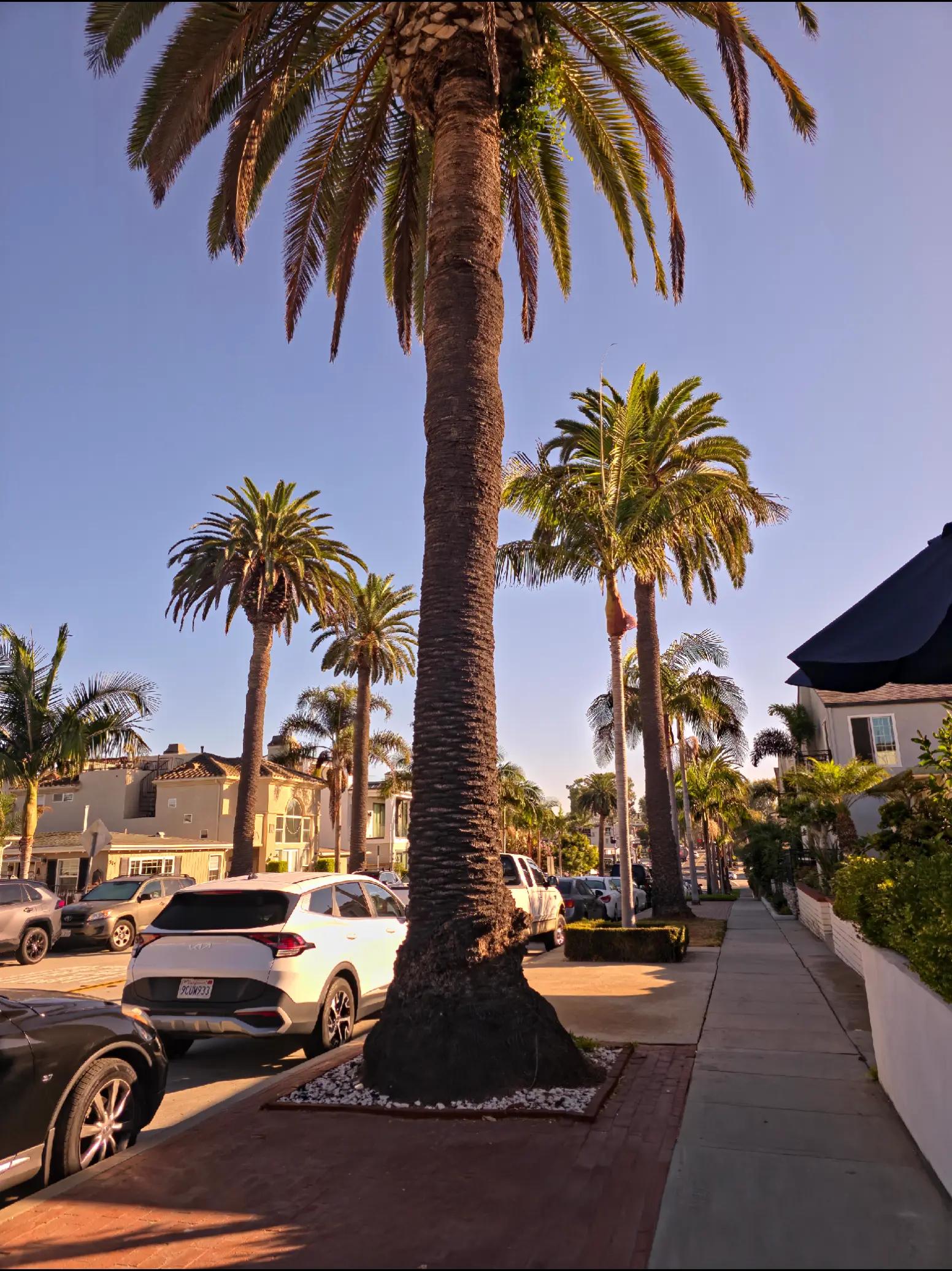 @@alexis.stn